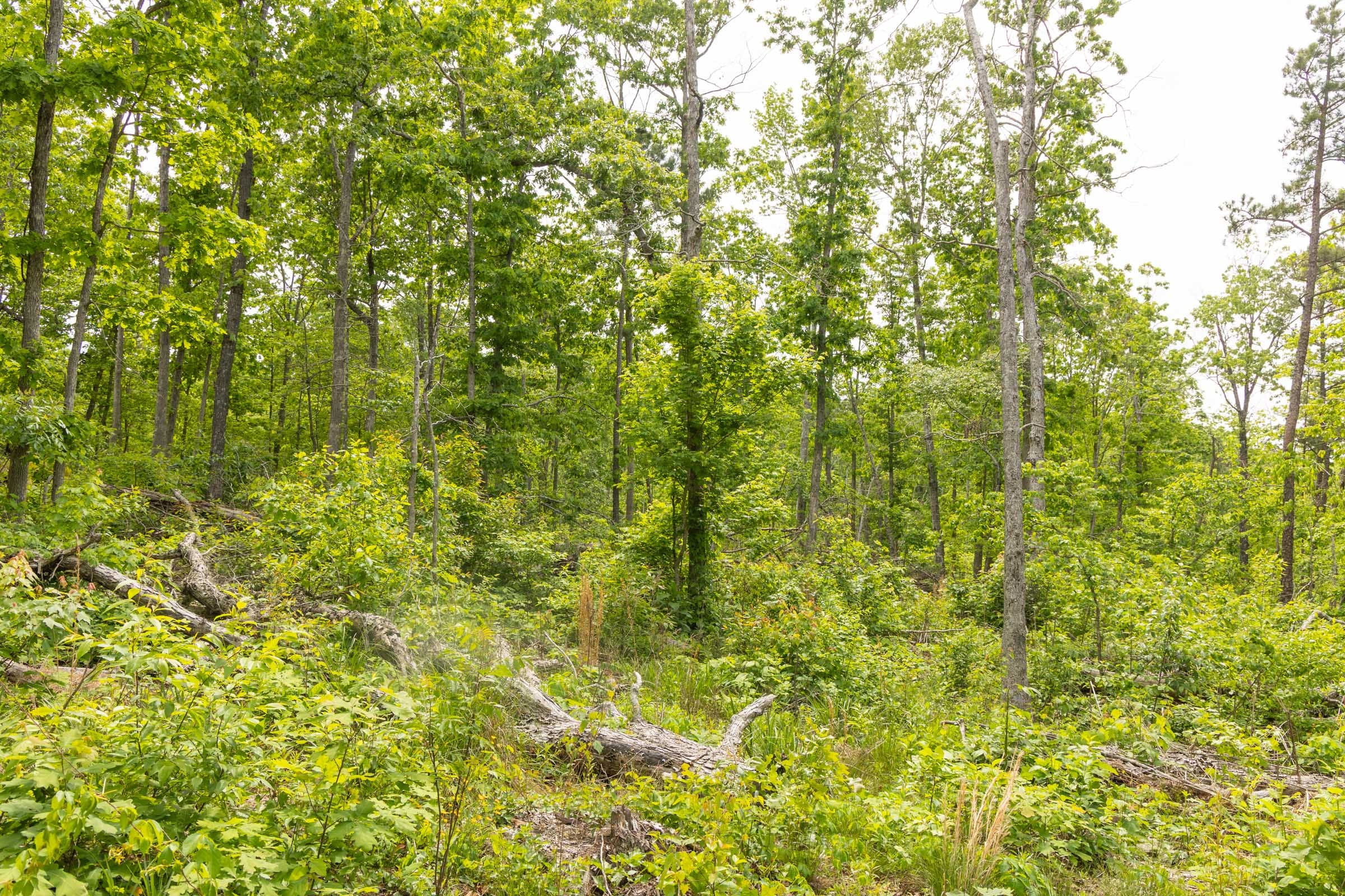 Stardust Estates Tract 8 photo 9
