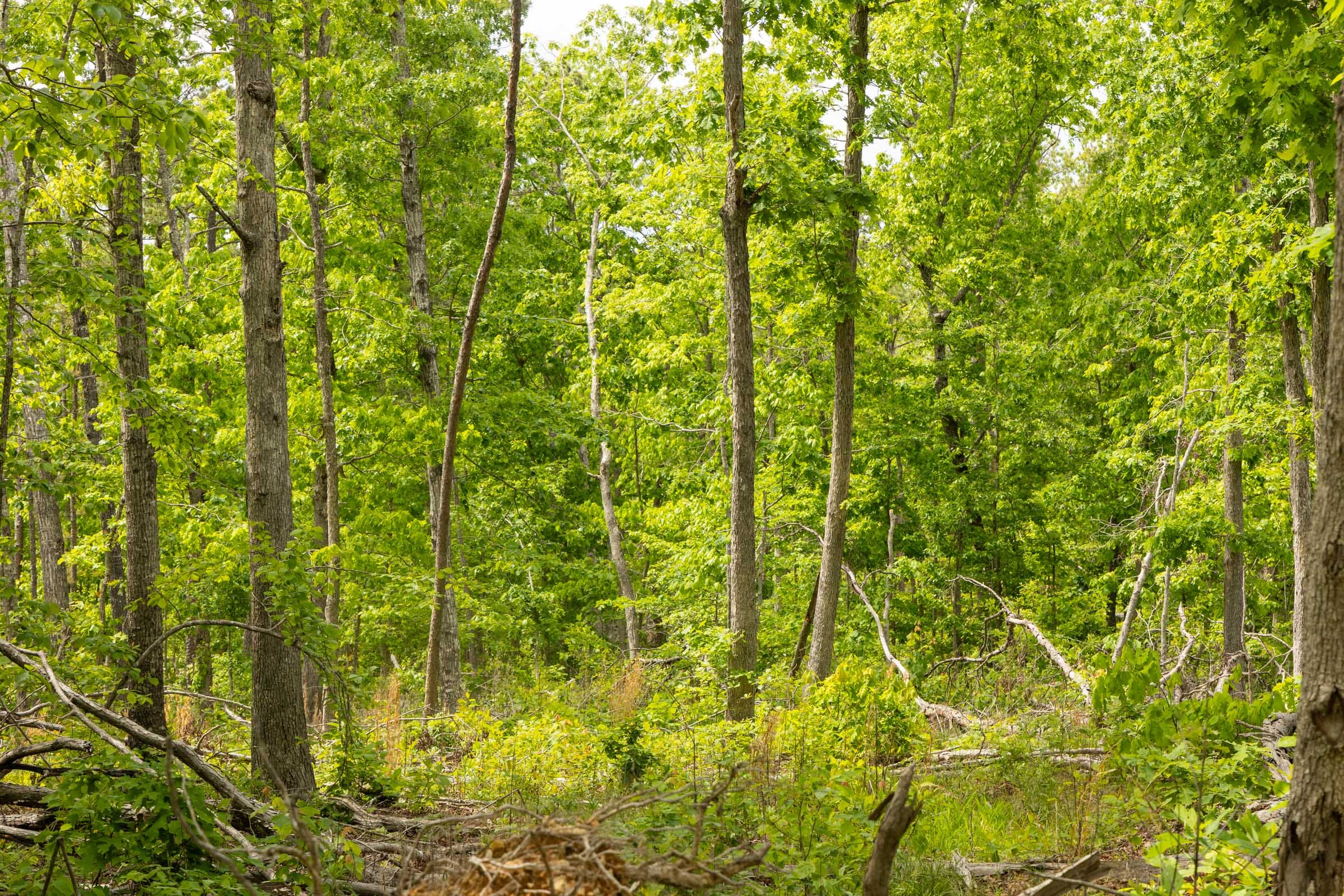 Stardust Estates Tract 8 photo 8
