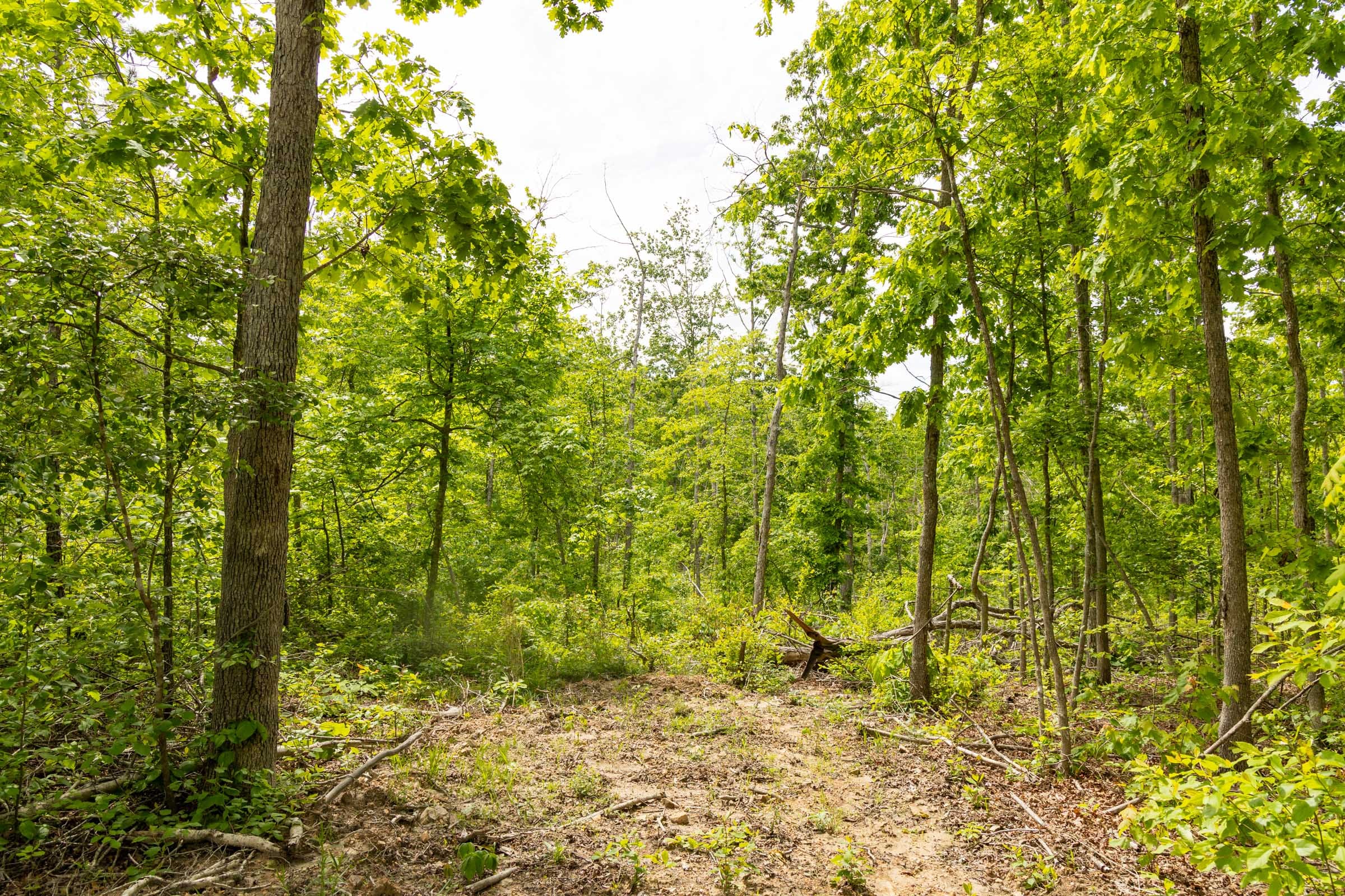 Stardust Estates Tract 8 photo 4