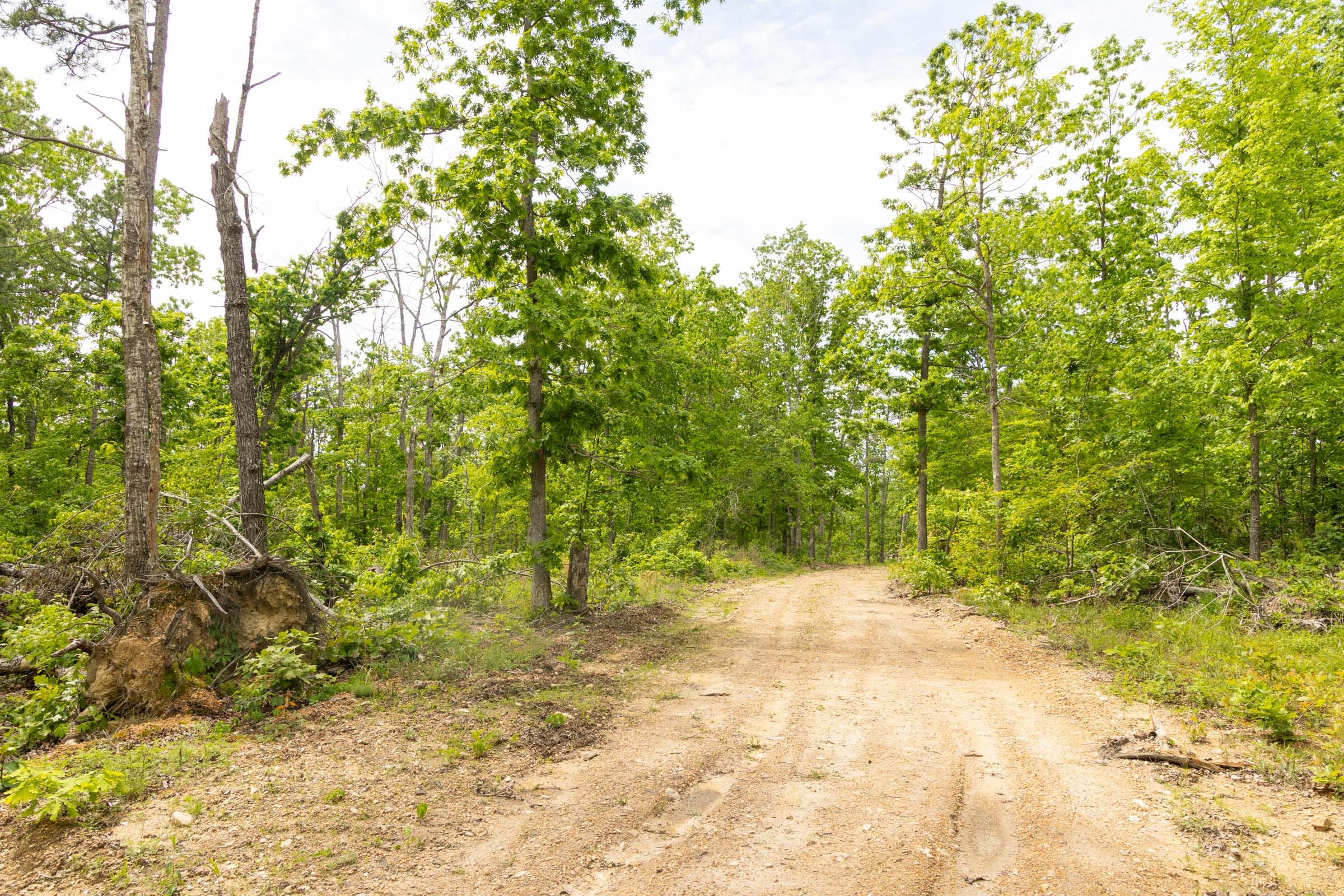 Stardust Estates Tract 8 photo 6