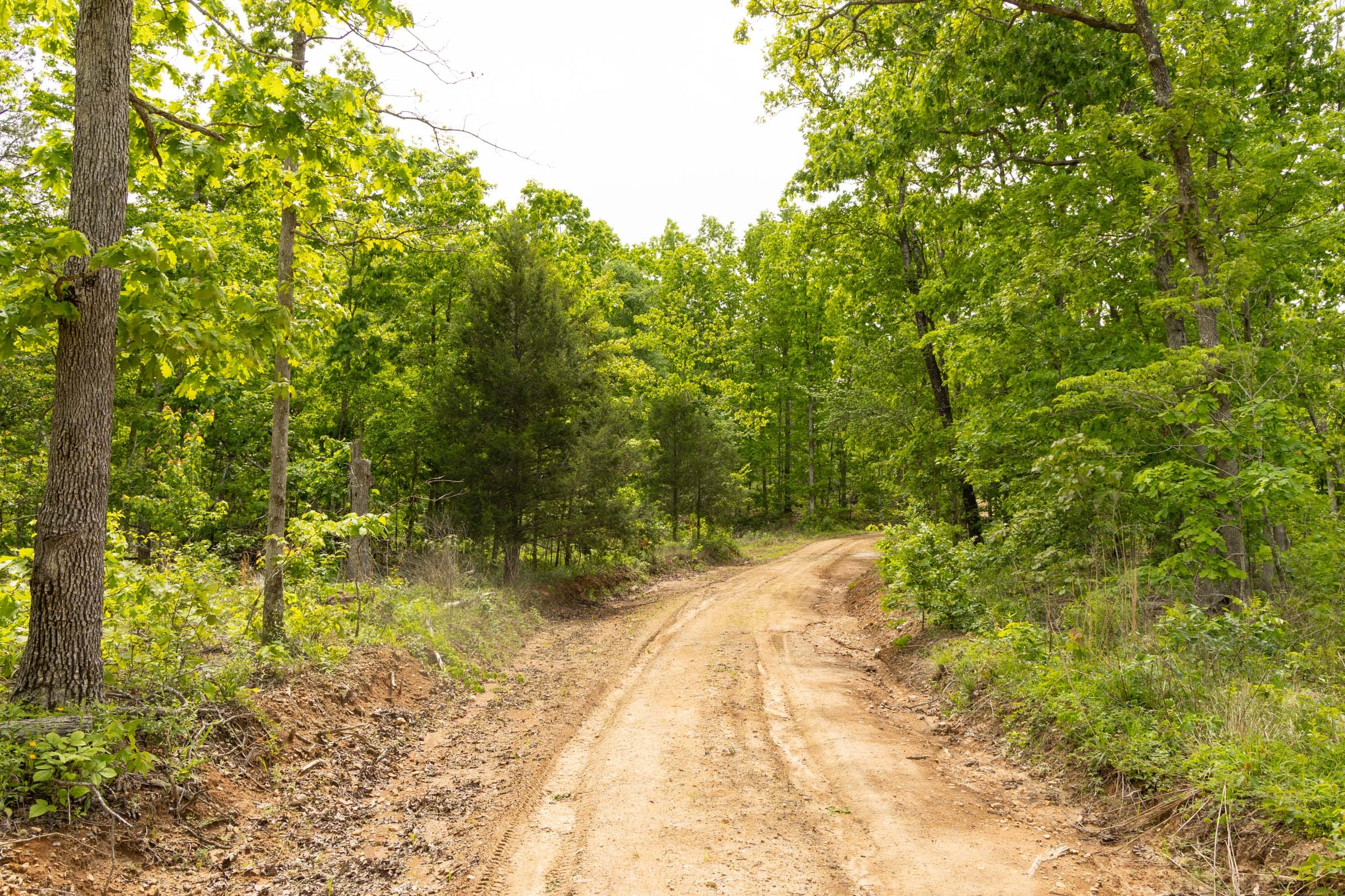 Stardust Estates Tract 8 photo 2