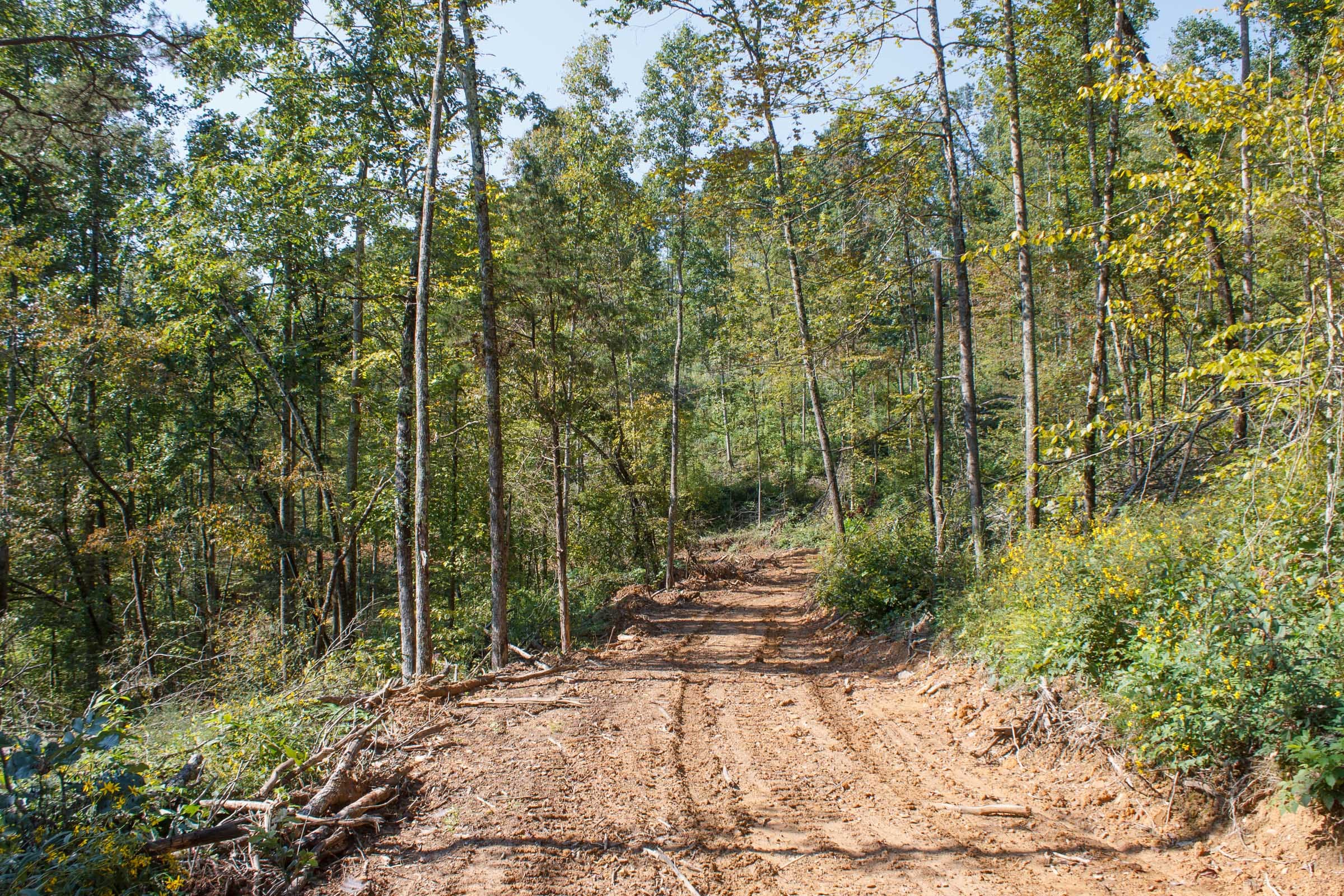 Wounded Oak Tract 11 photo 1