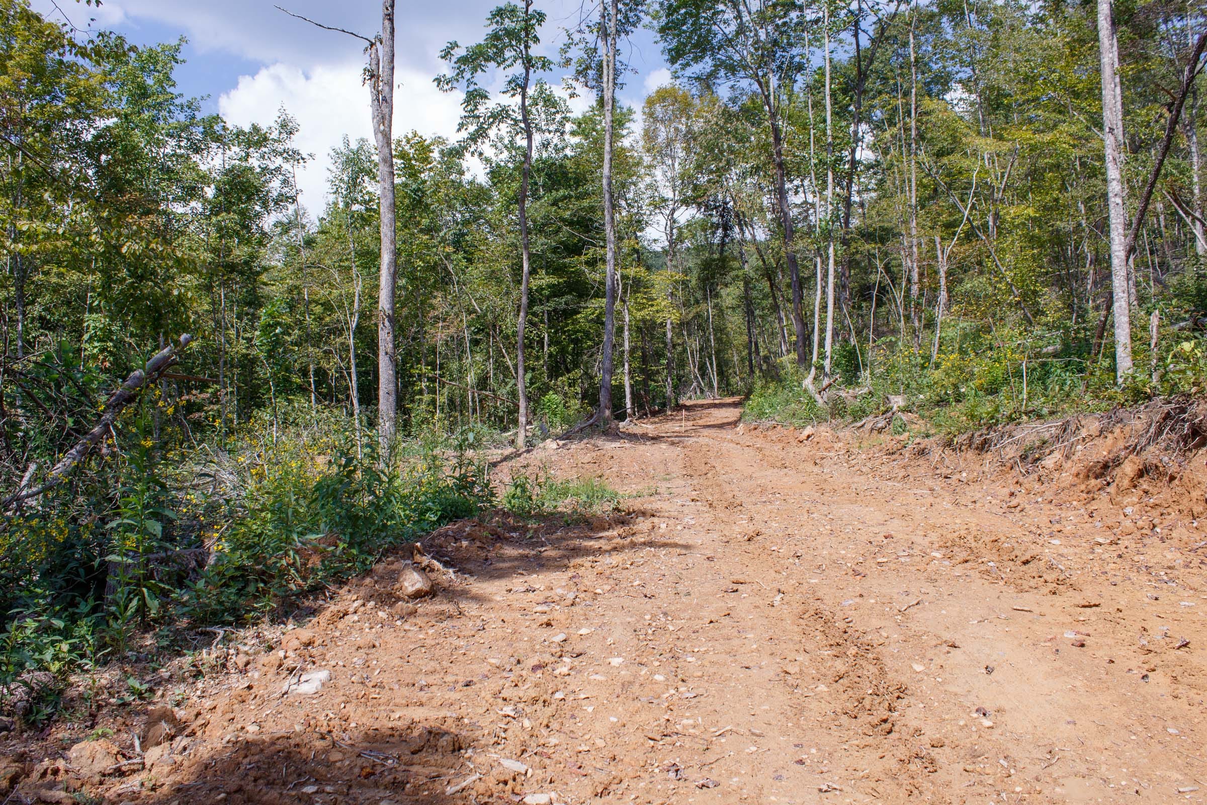 Wounded Oak Tract 11 photo 10