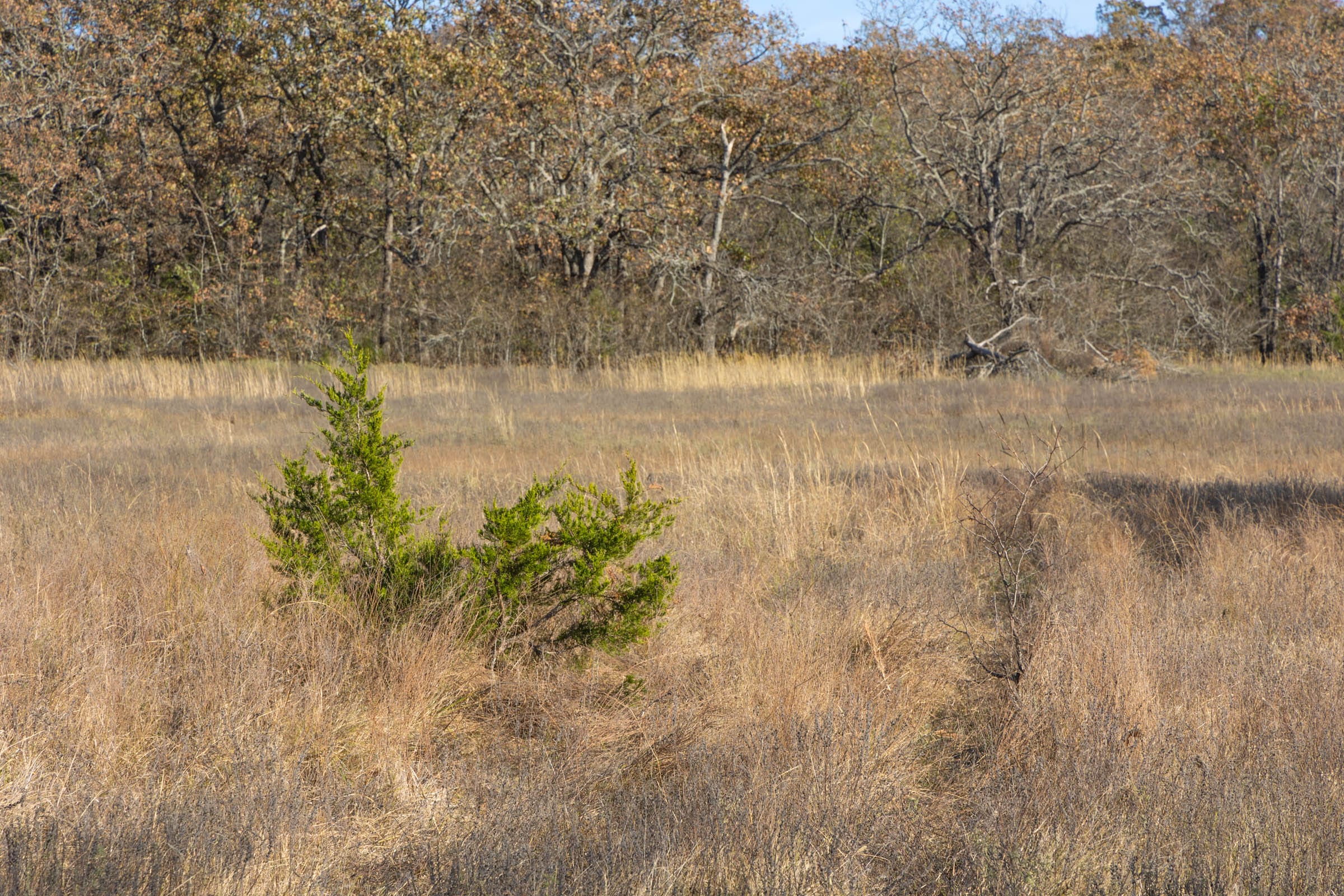 Harmony Hills Tract 44 photo 12