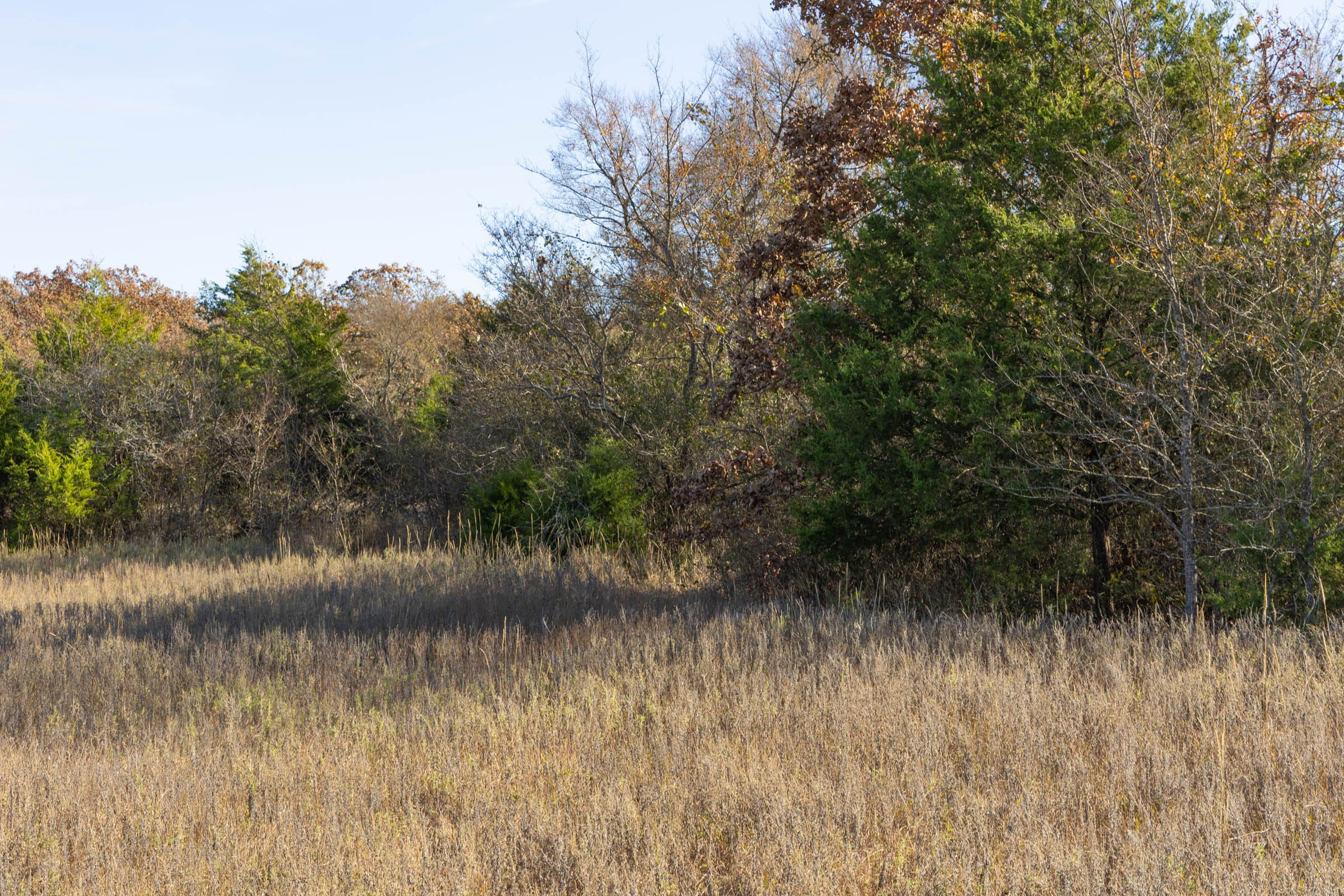 Harmony Hills Tract 44 photo 9