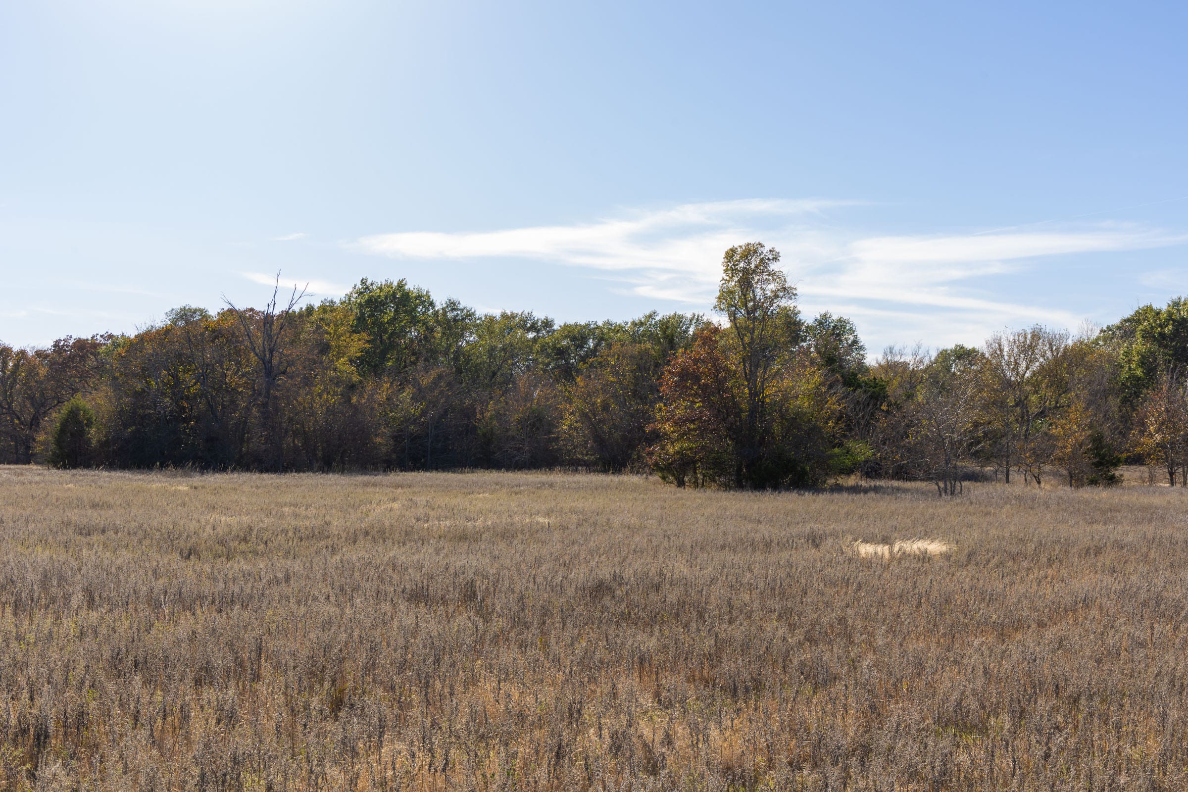 Harmony Hills Tract 44 photo 10