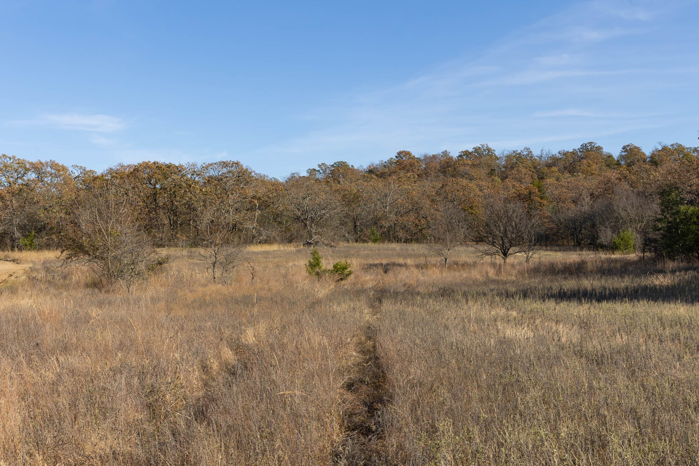 Harmony Hills Tract 44 photo 11