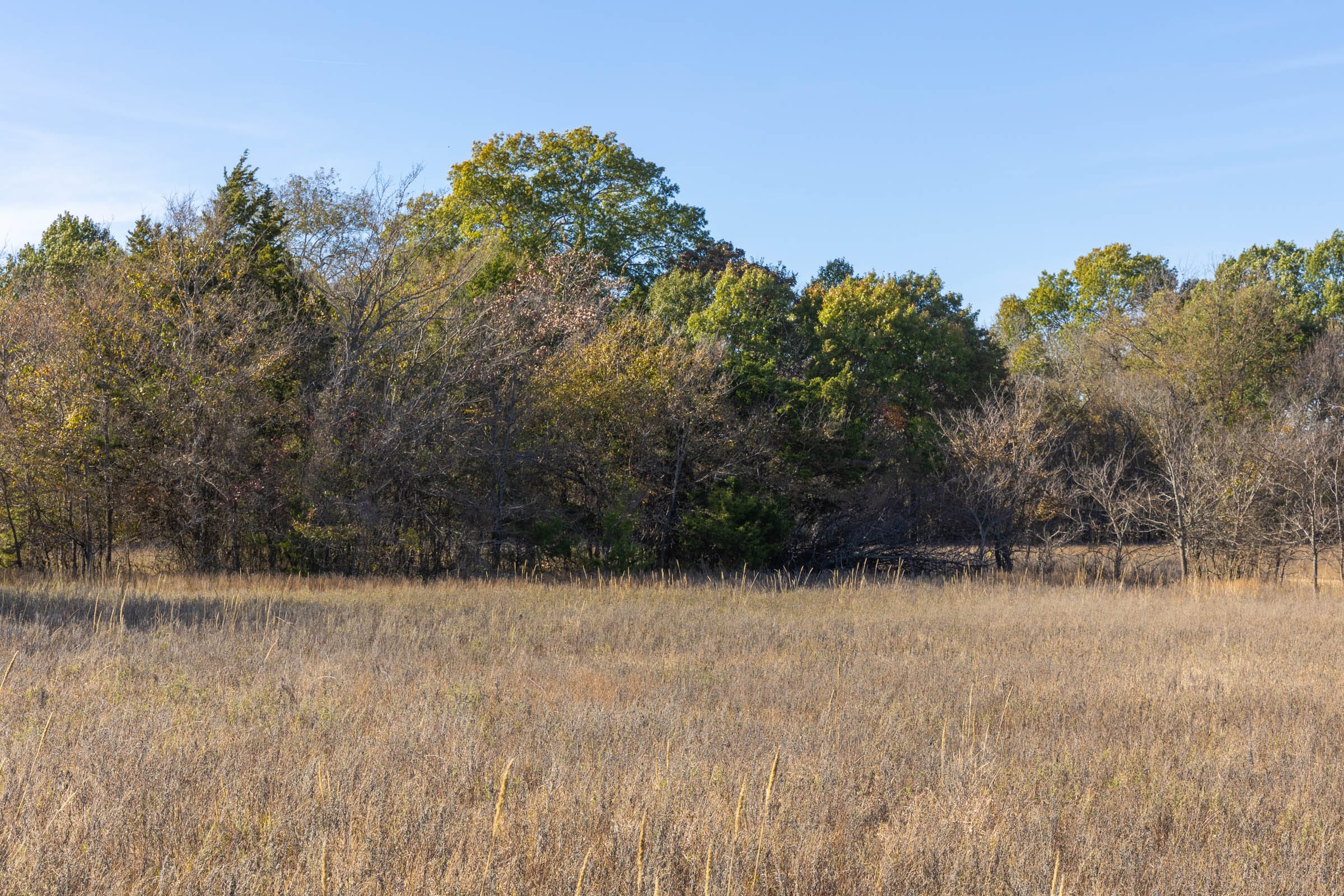 Harmony Hills Tract 44 photo 2