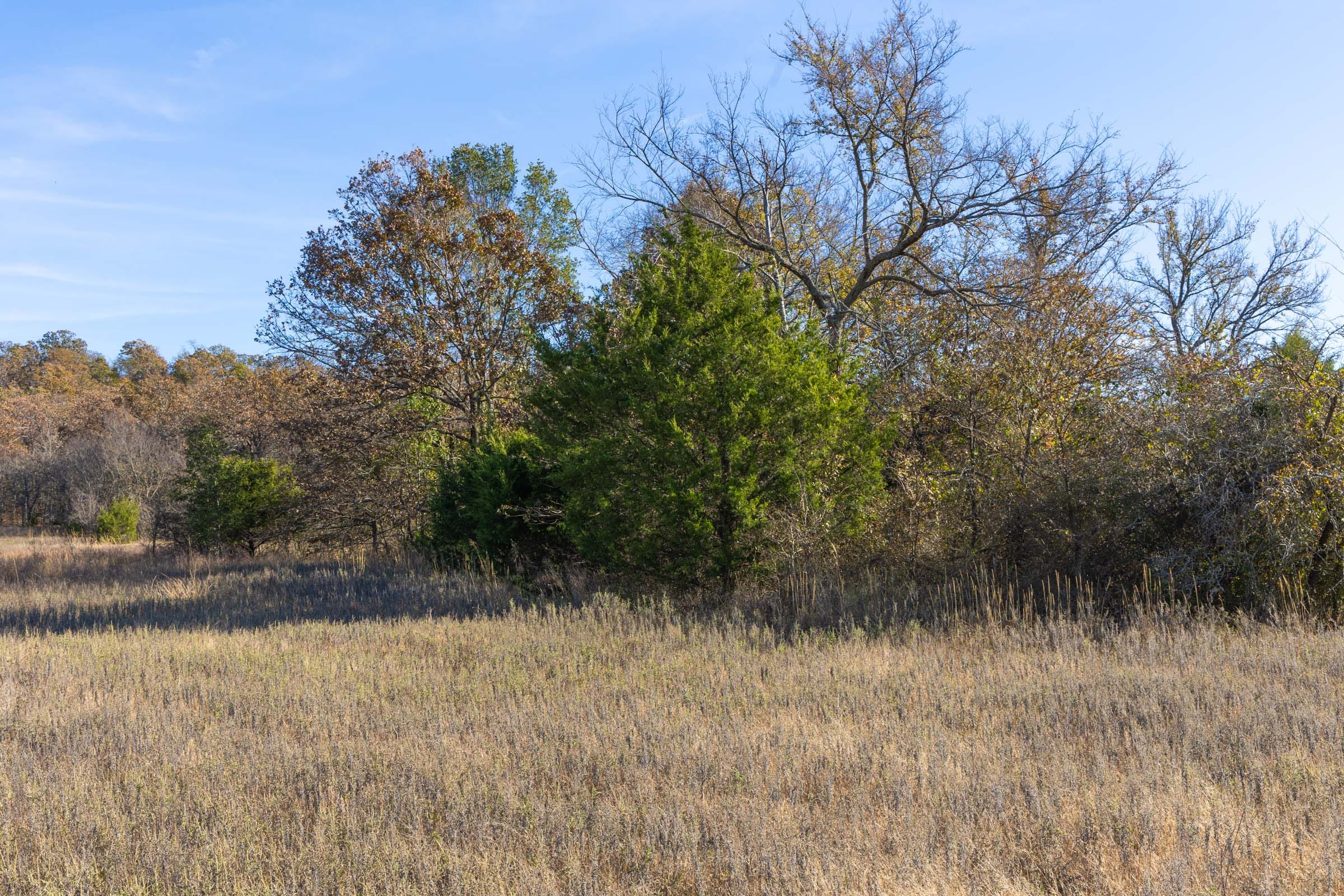 Harmony Hills Tract 44 photo 5