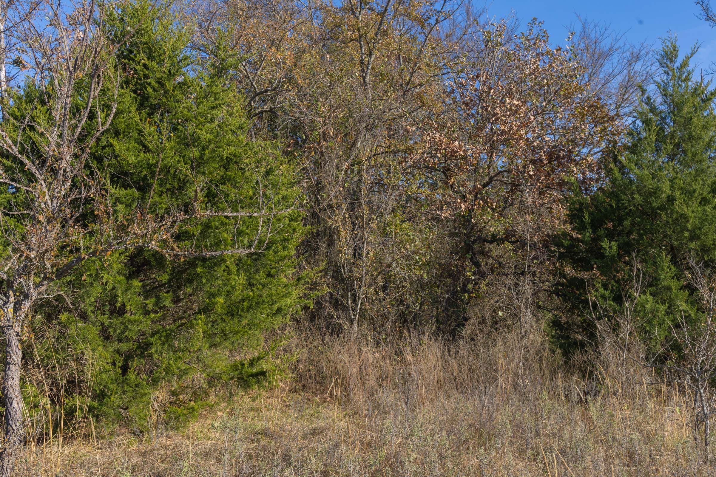 Harmony Hills Tract 44 photo 7