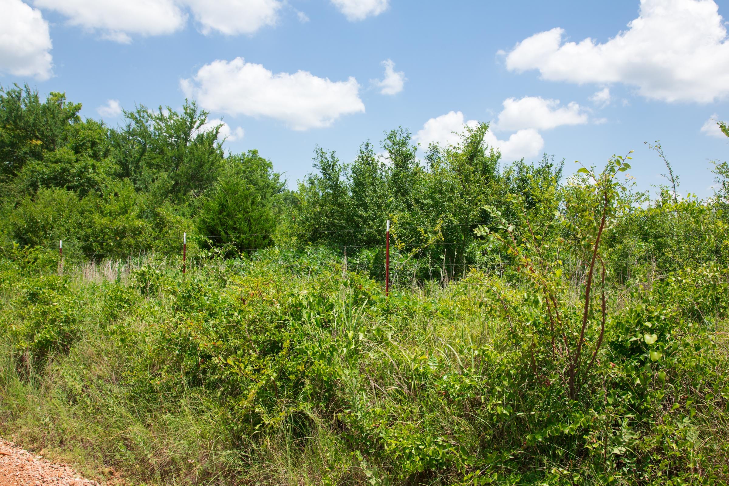 Deep Fork Ranch Tract 12 photo 3