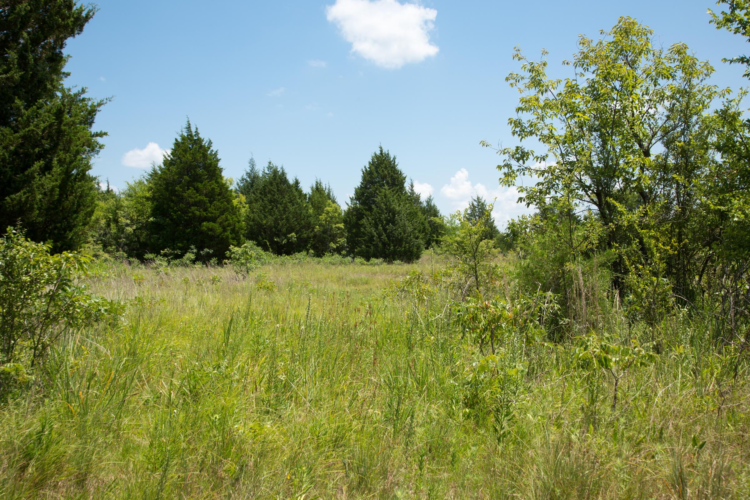 Deep Fork Ranch Tract 12 photo 7