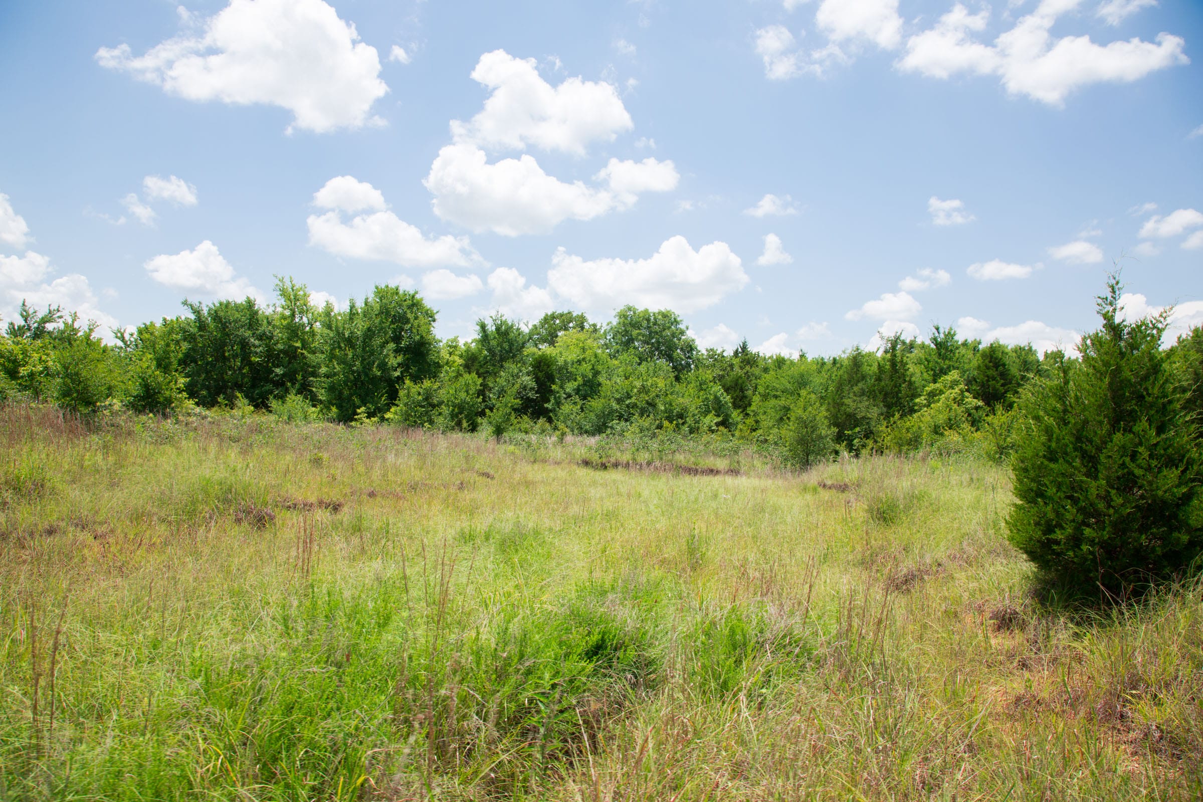 Deep Fork Ranch Tract 12 photo 8