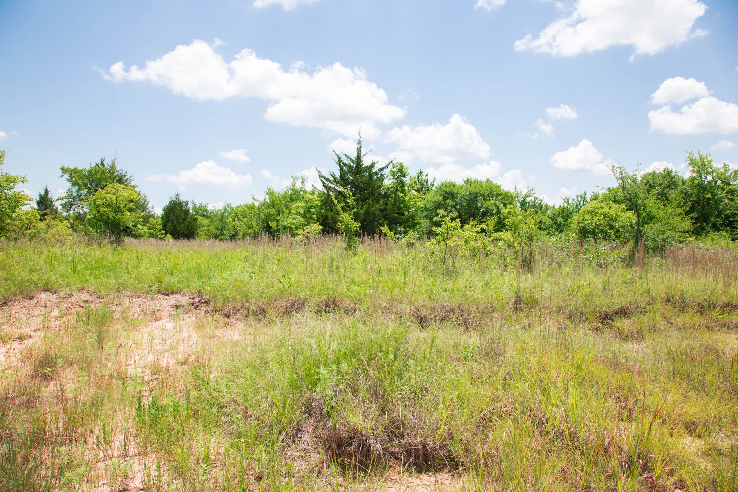 Deep Fork Ranch Tract 12 photo 9
