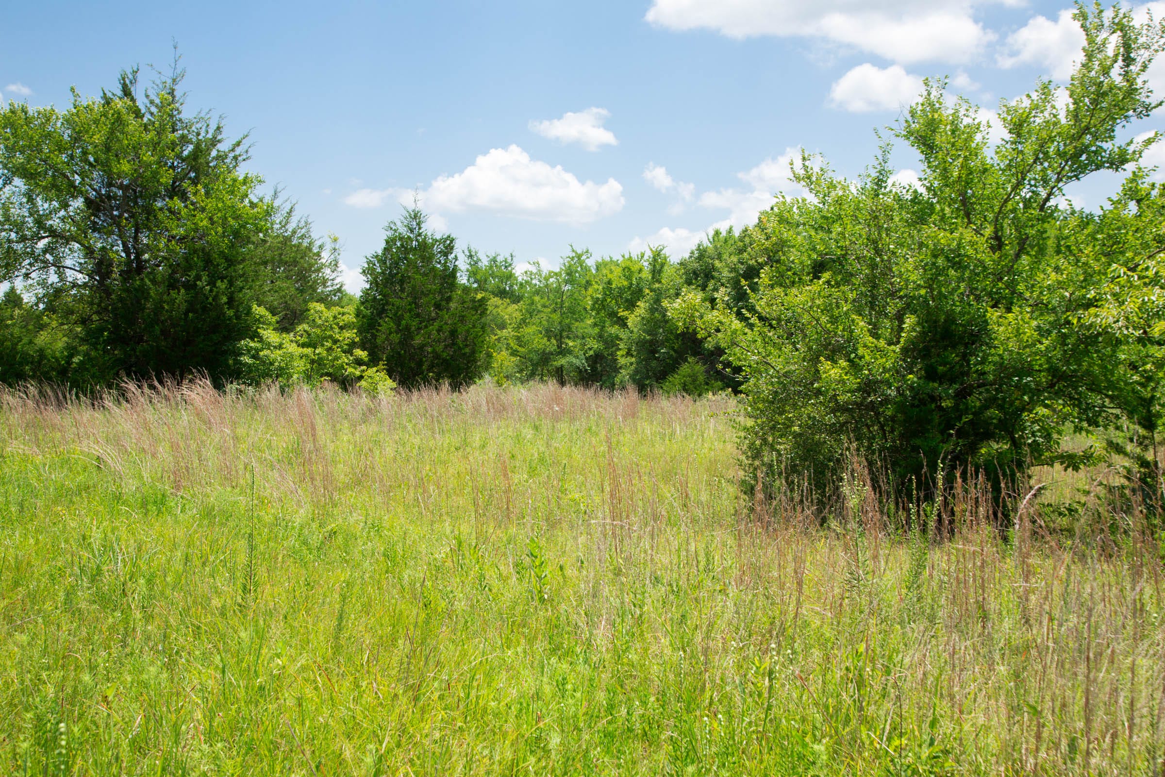 Deep Fork Ranch Tract 12 photo 10