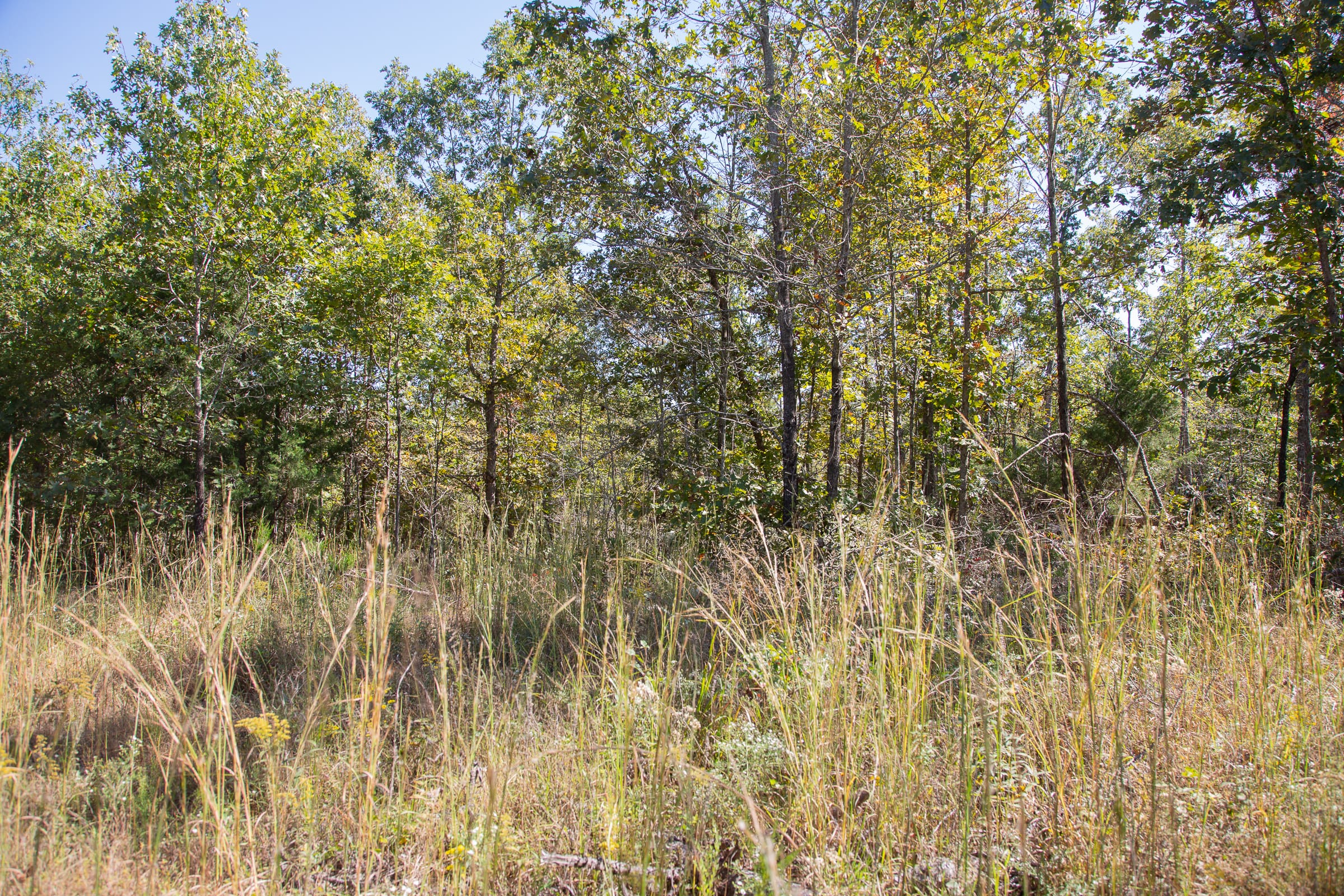 Borgmann’s Hollow Phase III Tract 95 photo 8