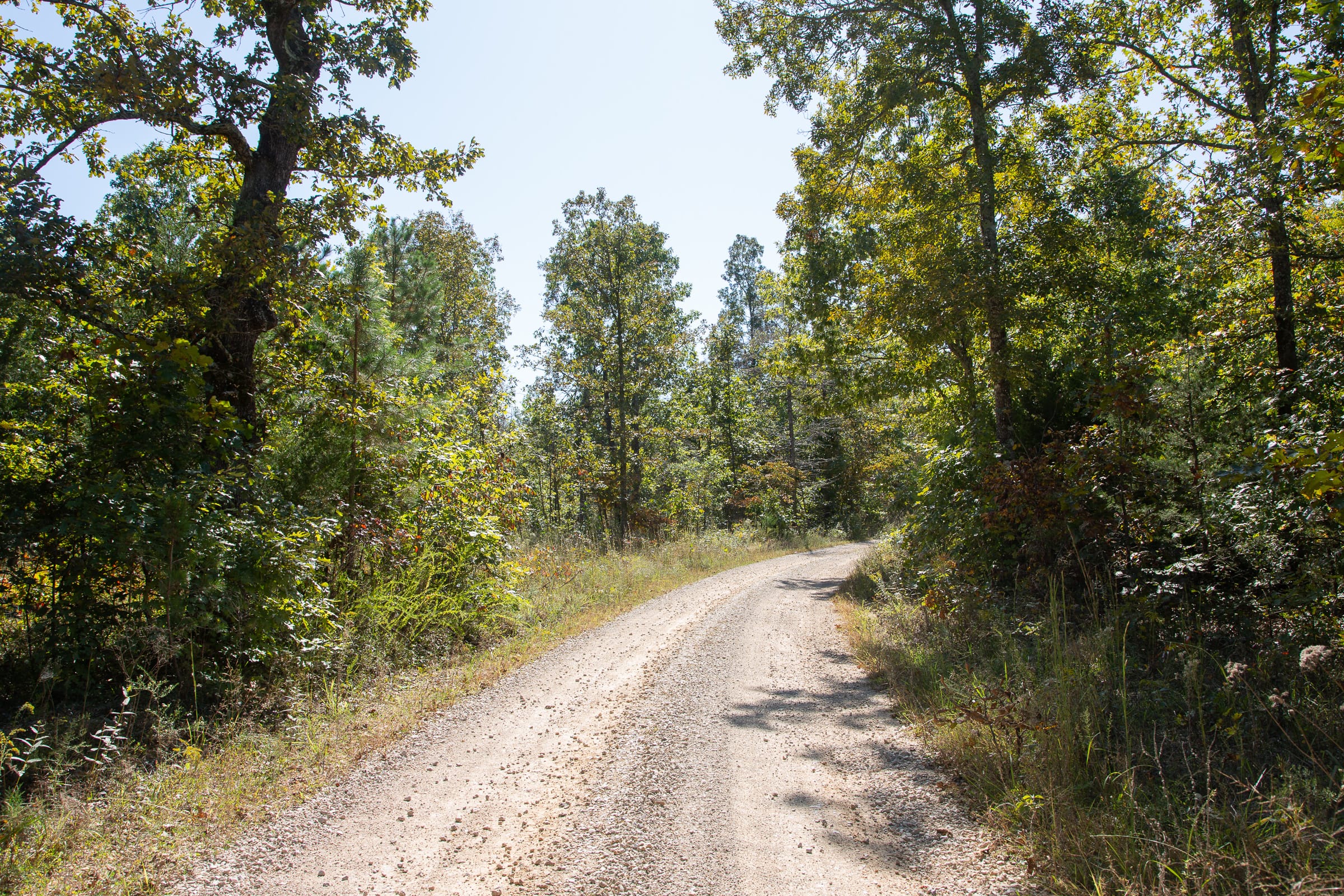 Borgmann’s Hollow Phase III Tract 95 photo 4