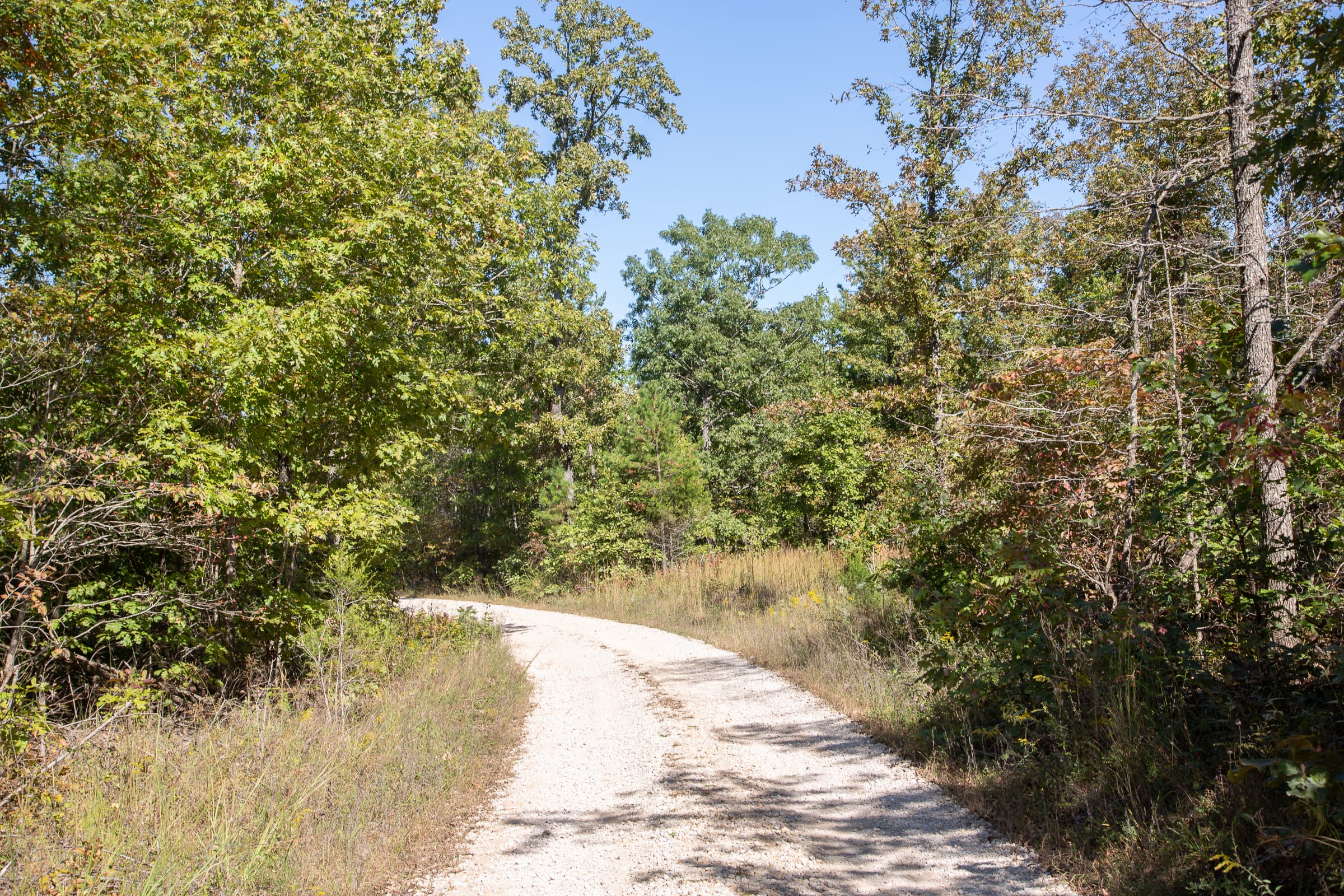 Borgmann’s Hollow Phase III Tract 95 photo 12