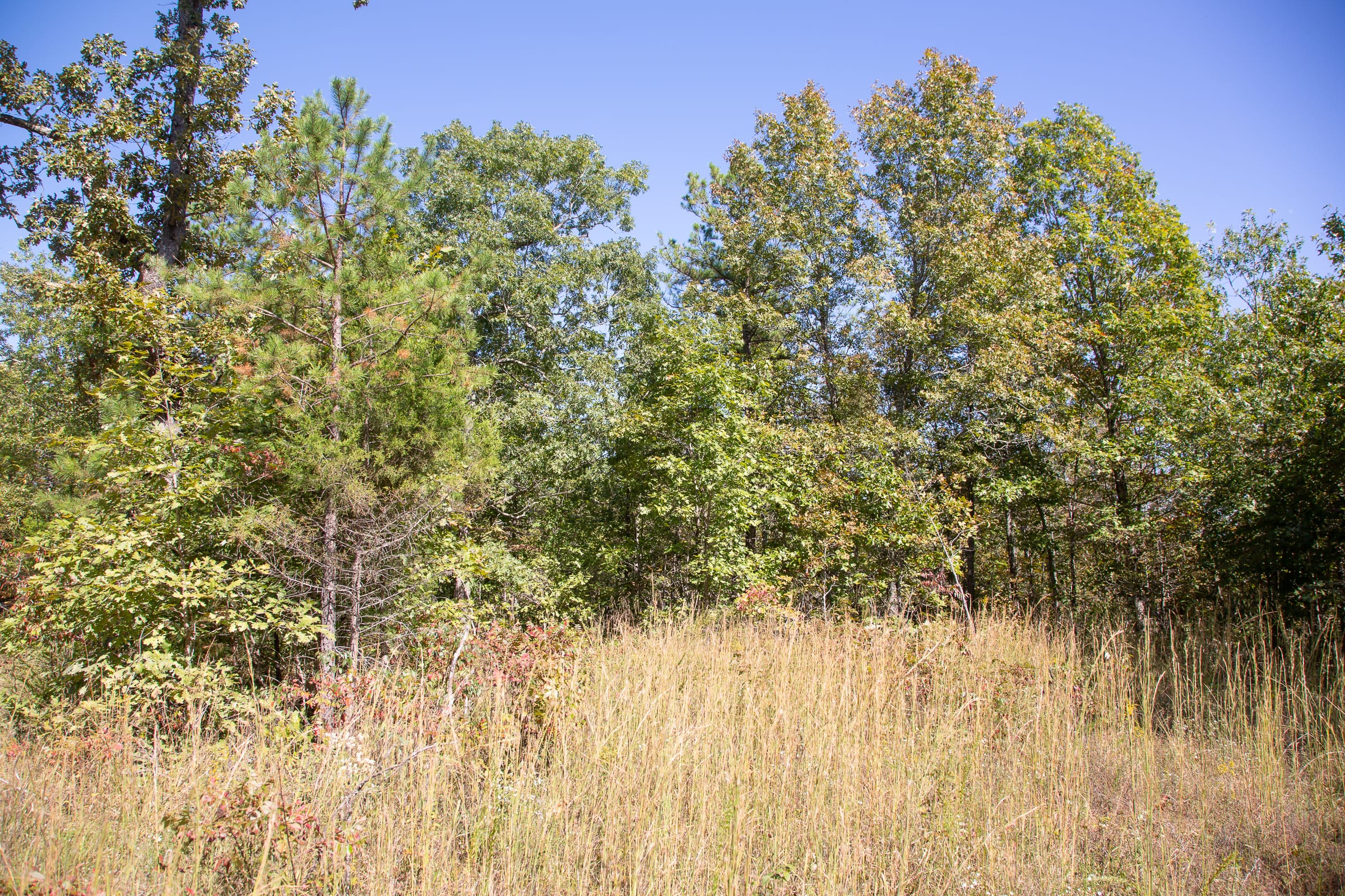 Borgmann’s Hollow Phase III Tract 95 photo 7