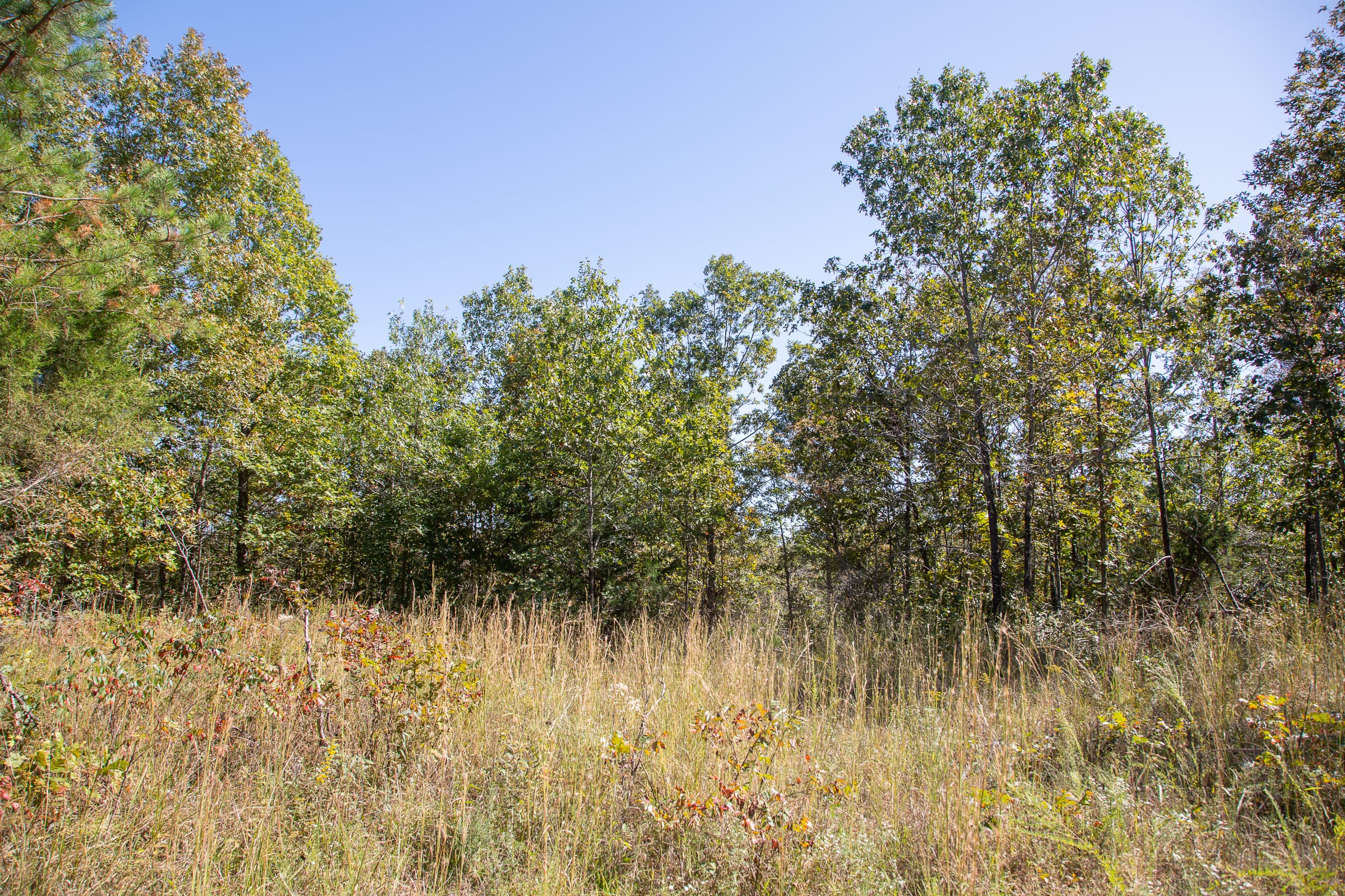 Borgmann’s Hollow Phase III Tract 95 photo 6