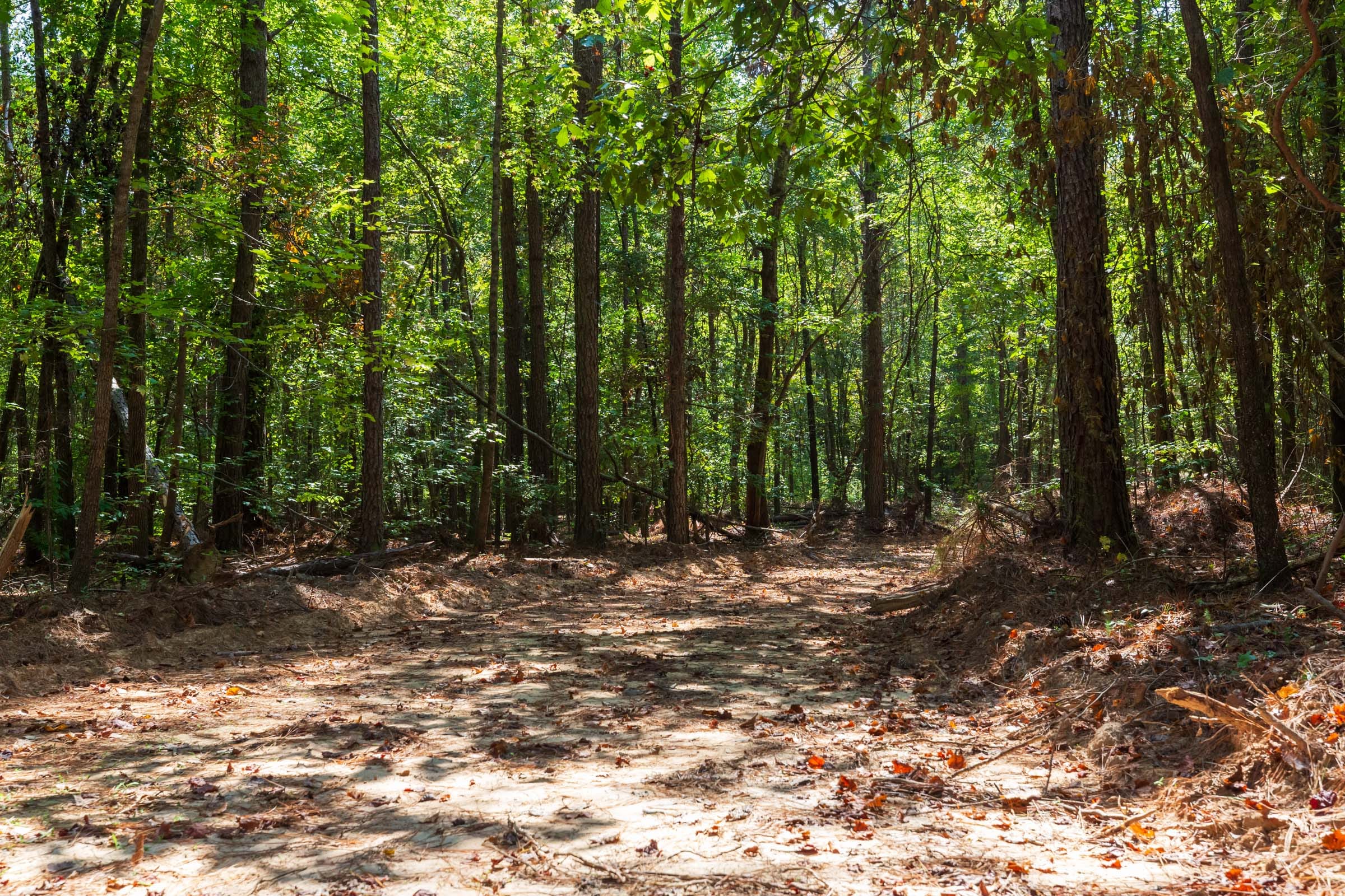Willow Grove Tract 11 photo 8