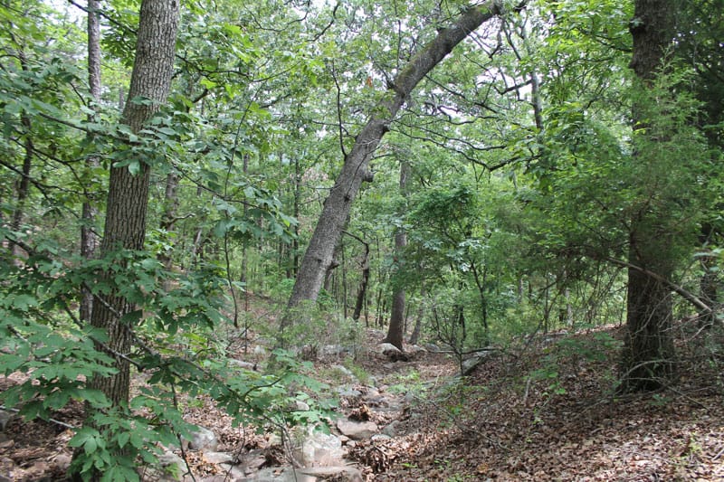 Trophy Ridge Phase III Tract 22 photo 4