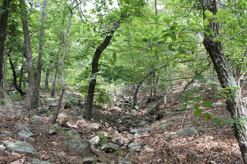Trophy Ridge Phase III Tract 22 photo 7