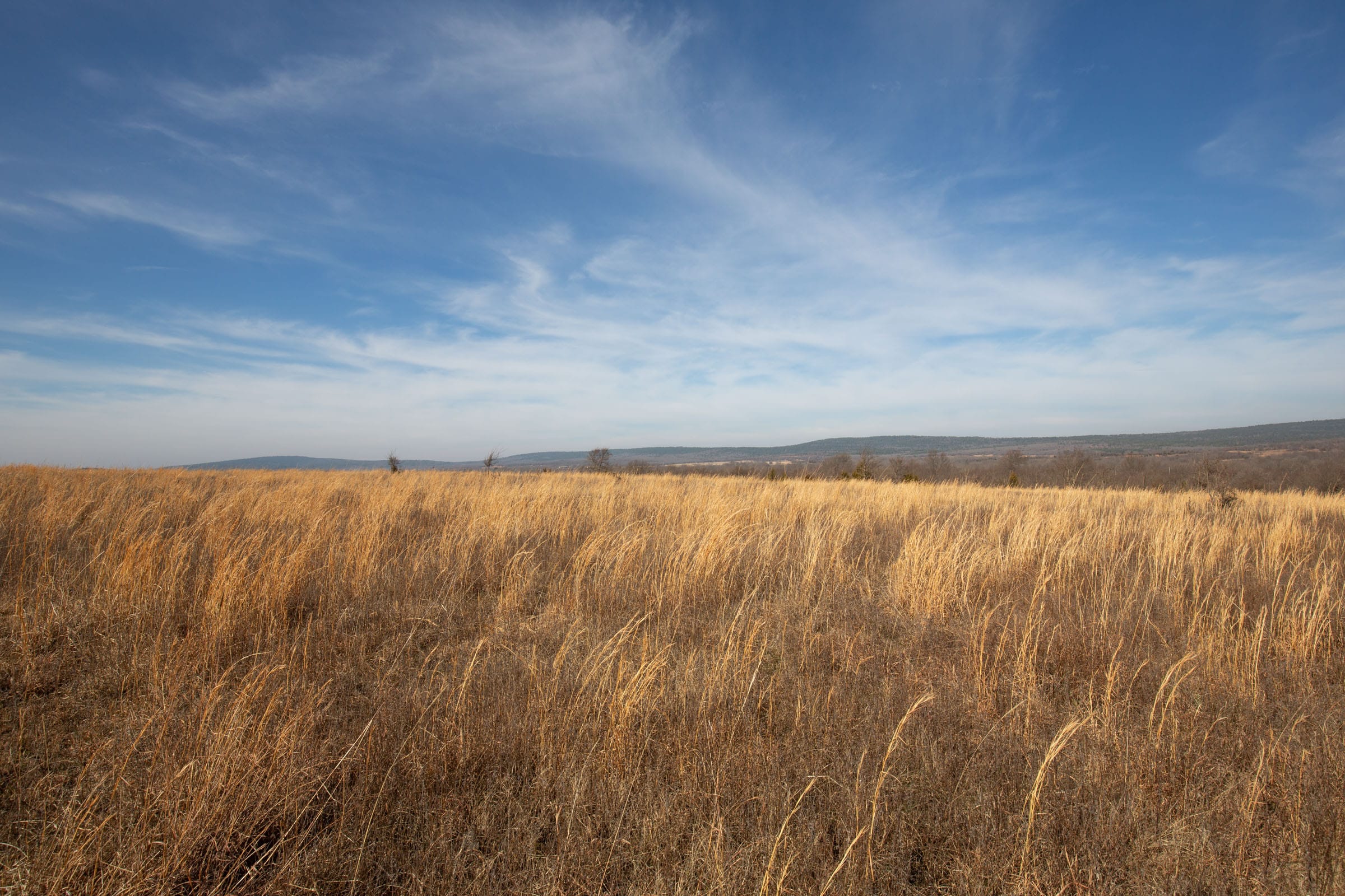 Painted Horse Tract 18 photo 2