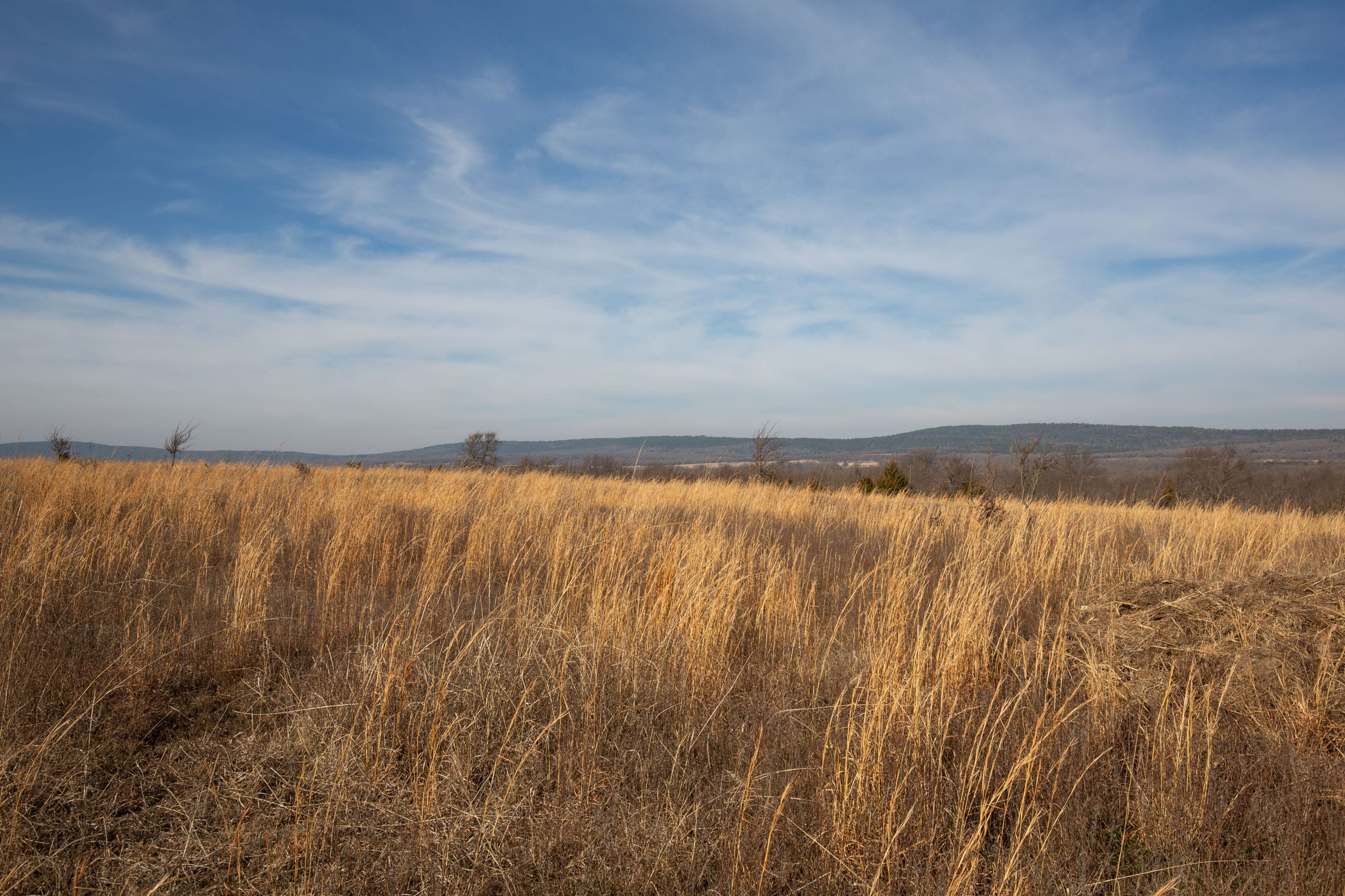 Painted Horse Tract 18 photo 3