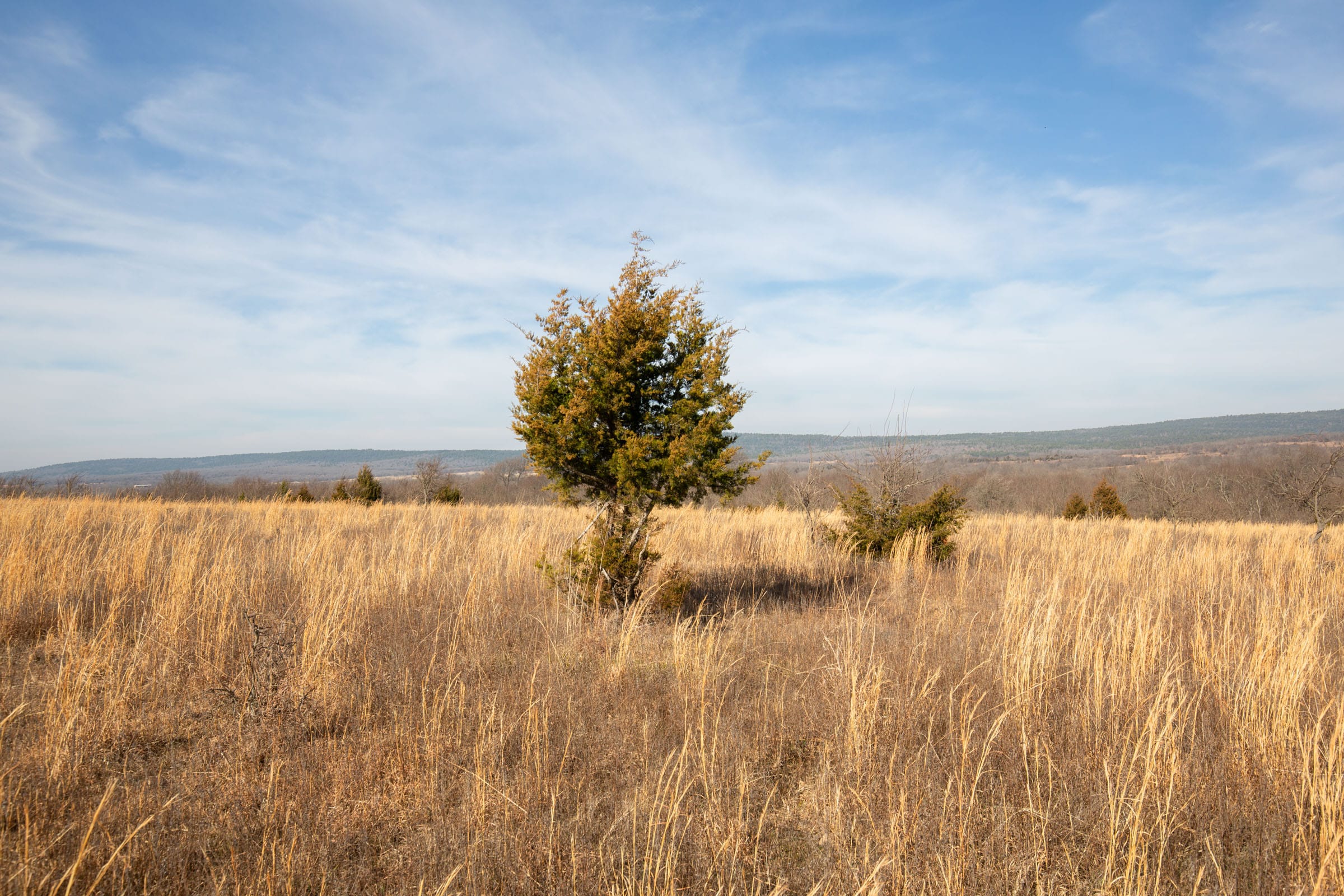 Painted Horse Tract 18 photo 1