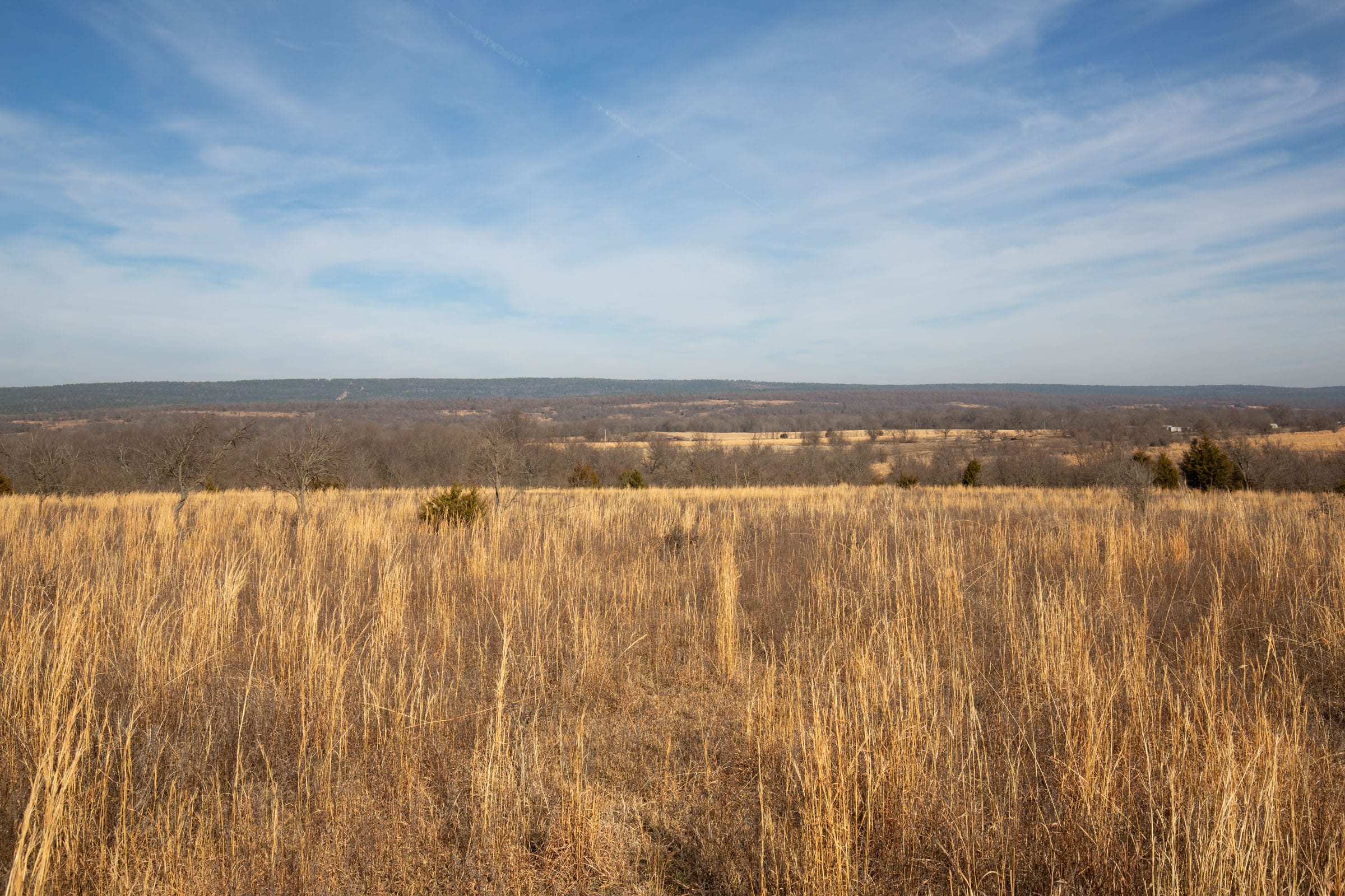 Painted Horse Tract 18 photo 4