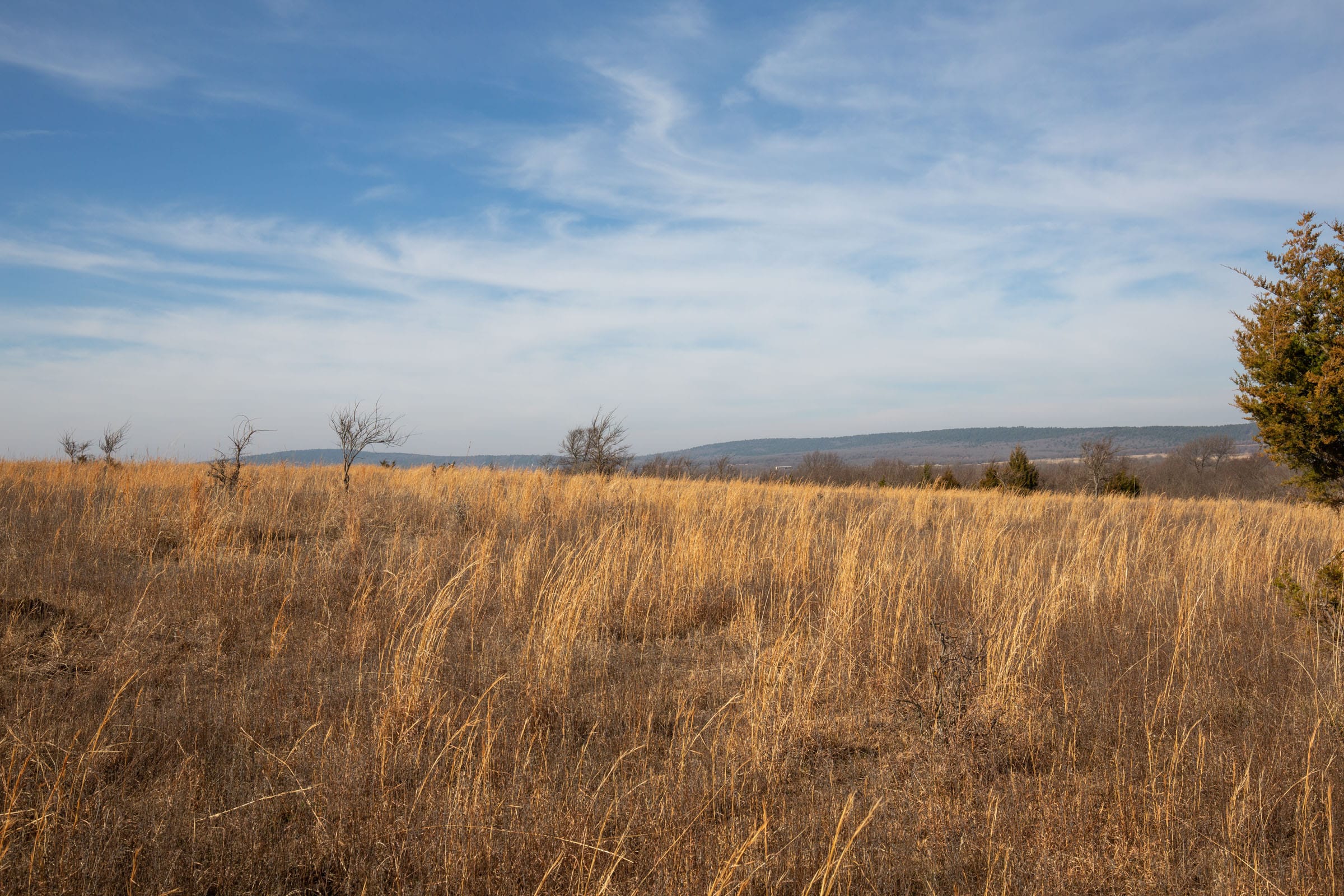 Painted Horse Tract 18 photo 6