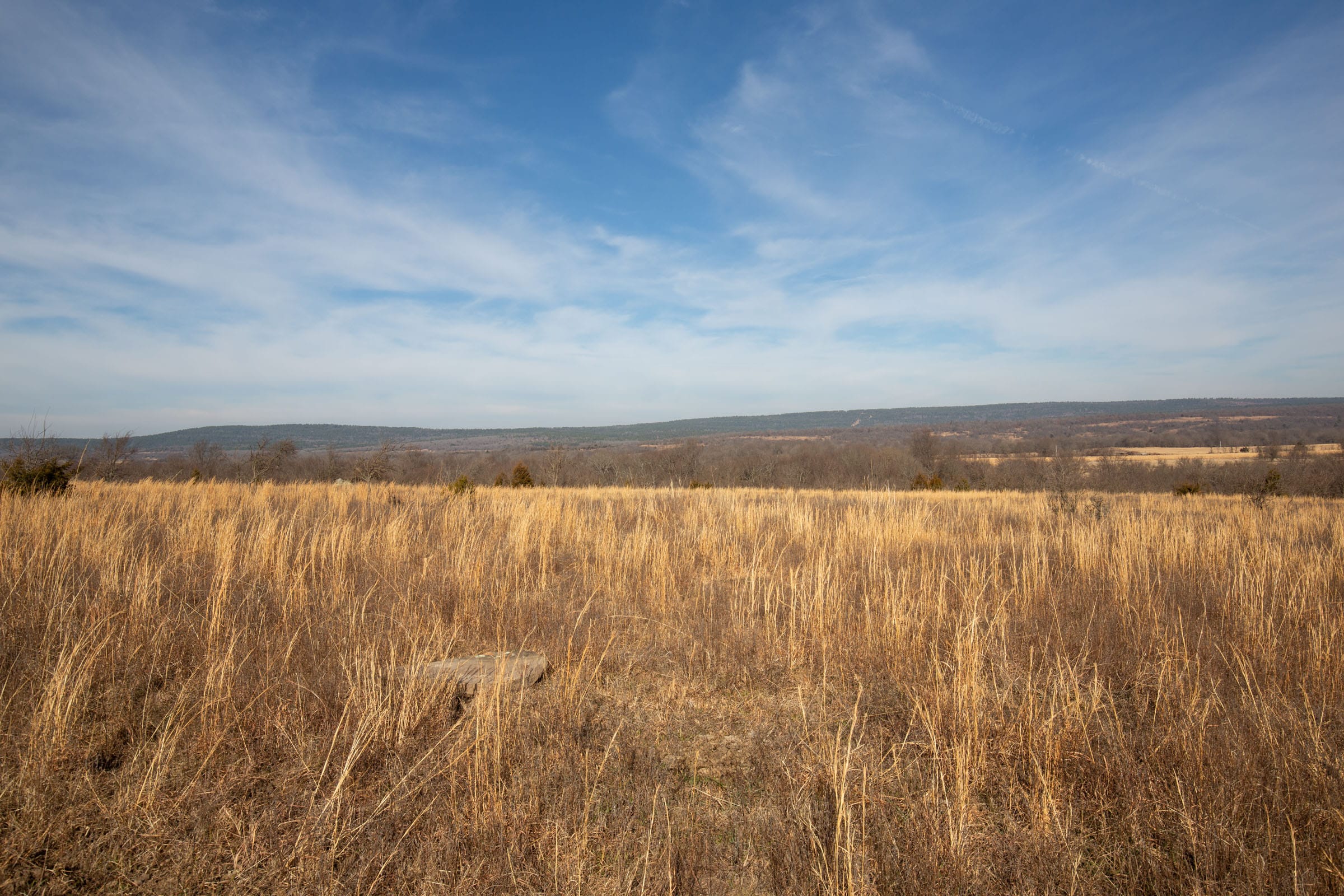 Painted Horse Tract 18 photo 7