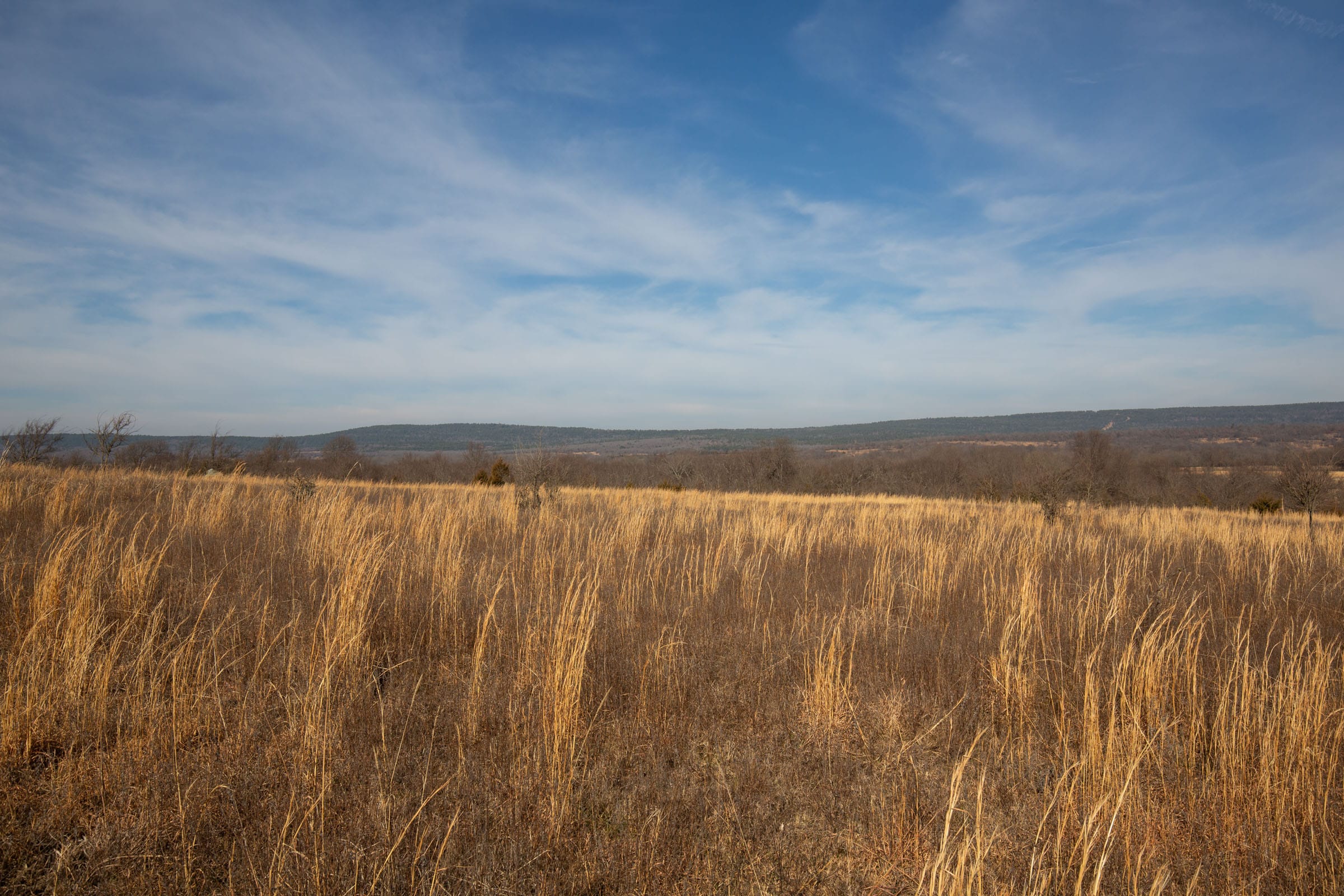 Painted Horse Tract 18 photo 8