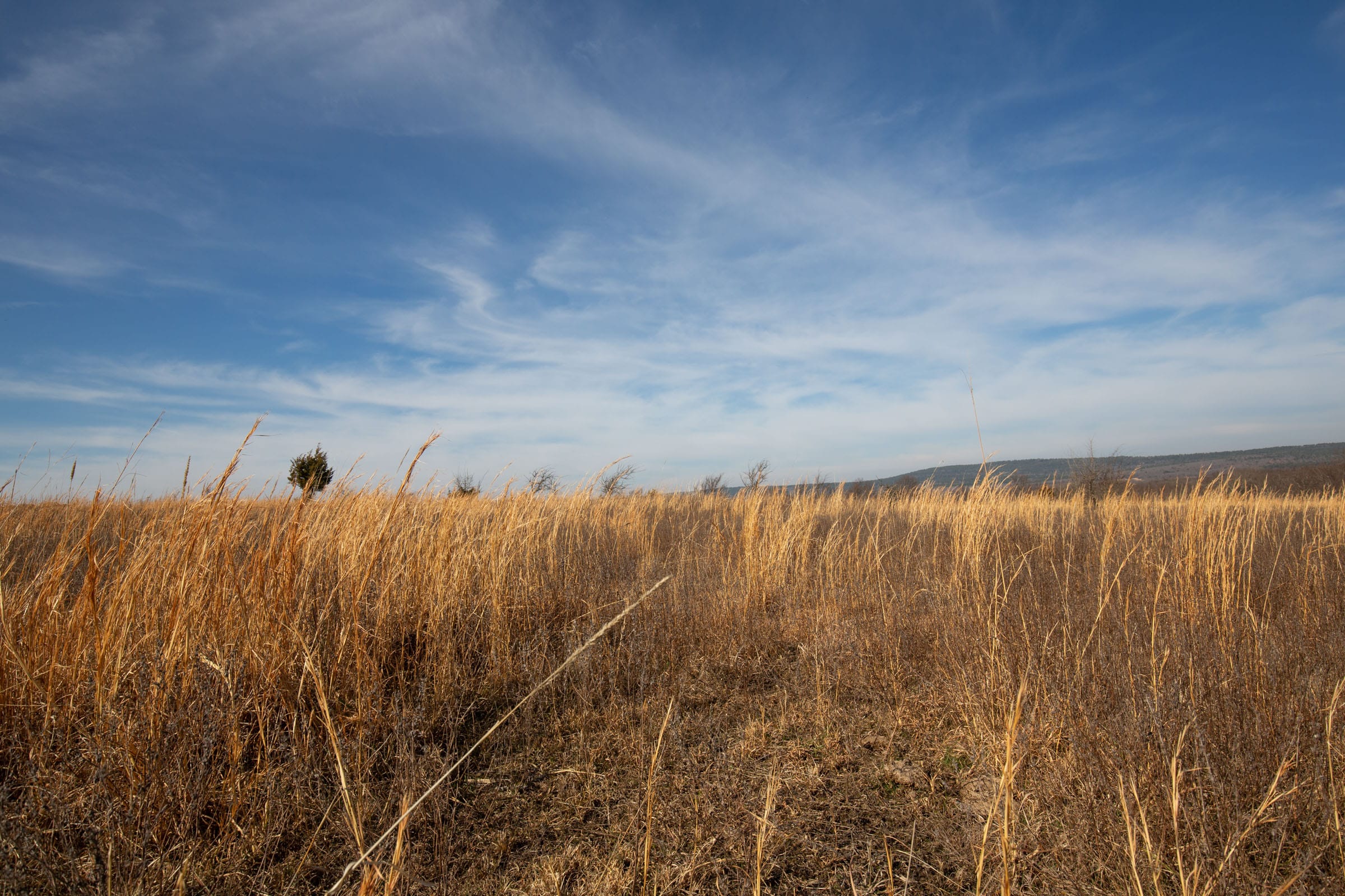 Painted Horse Tract 18 photo 10