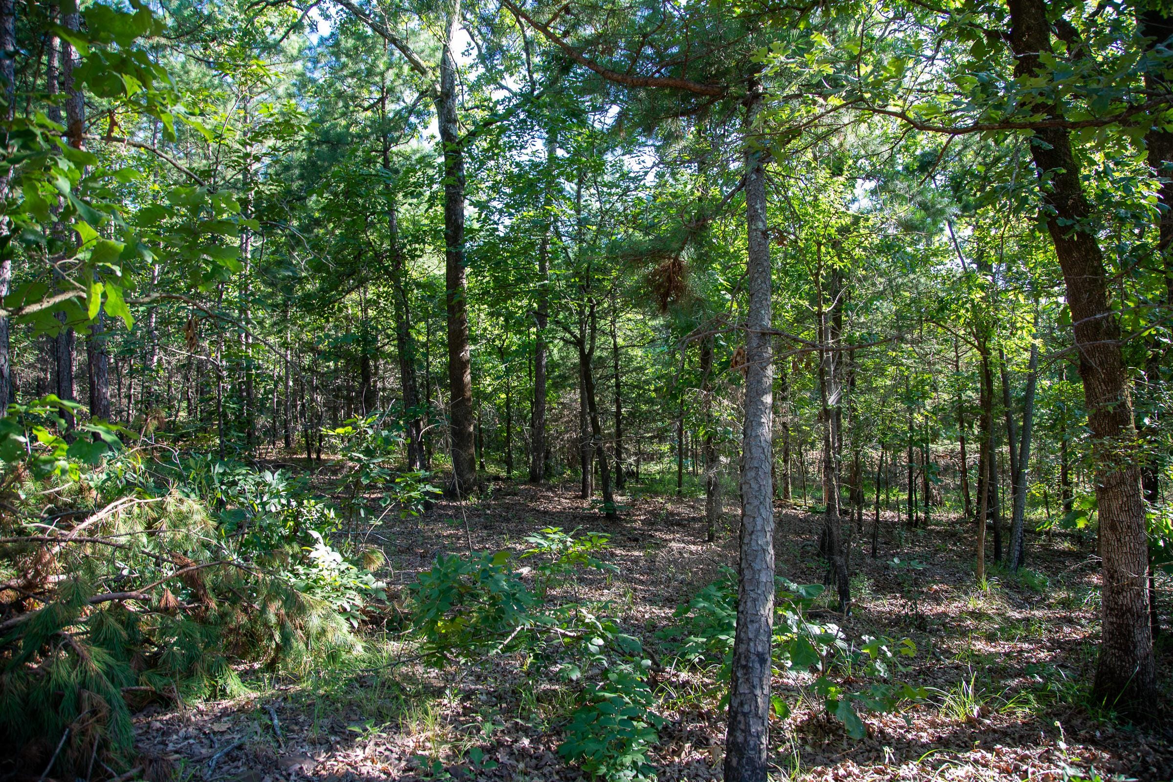 Tyler Stone Ranch Tract 14 photo 3
