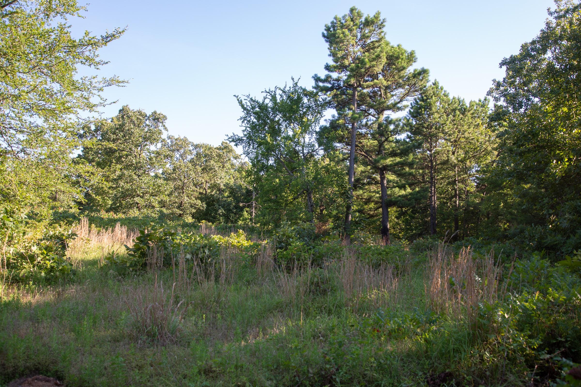 Tyler Stone Ranch Tract 14 photo 5