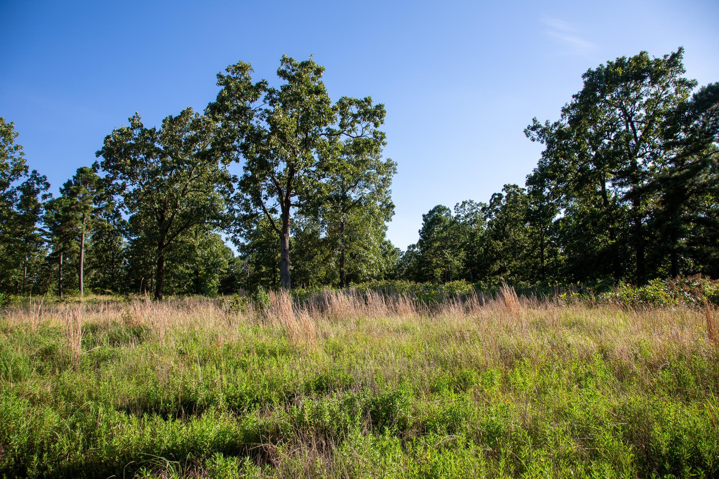 Tyler Stone Ranch Tract 14 photo 8
