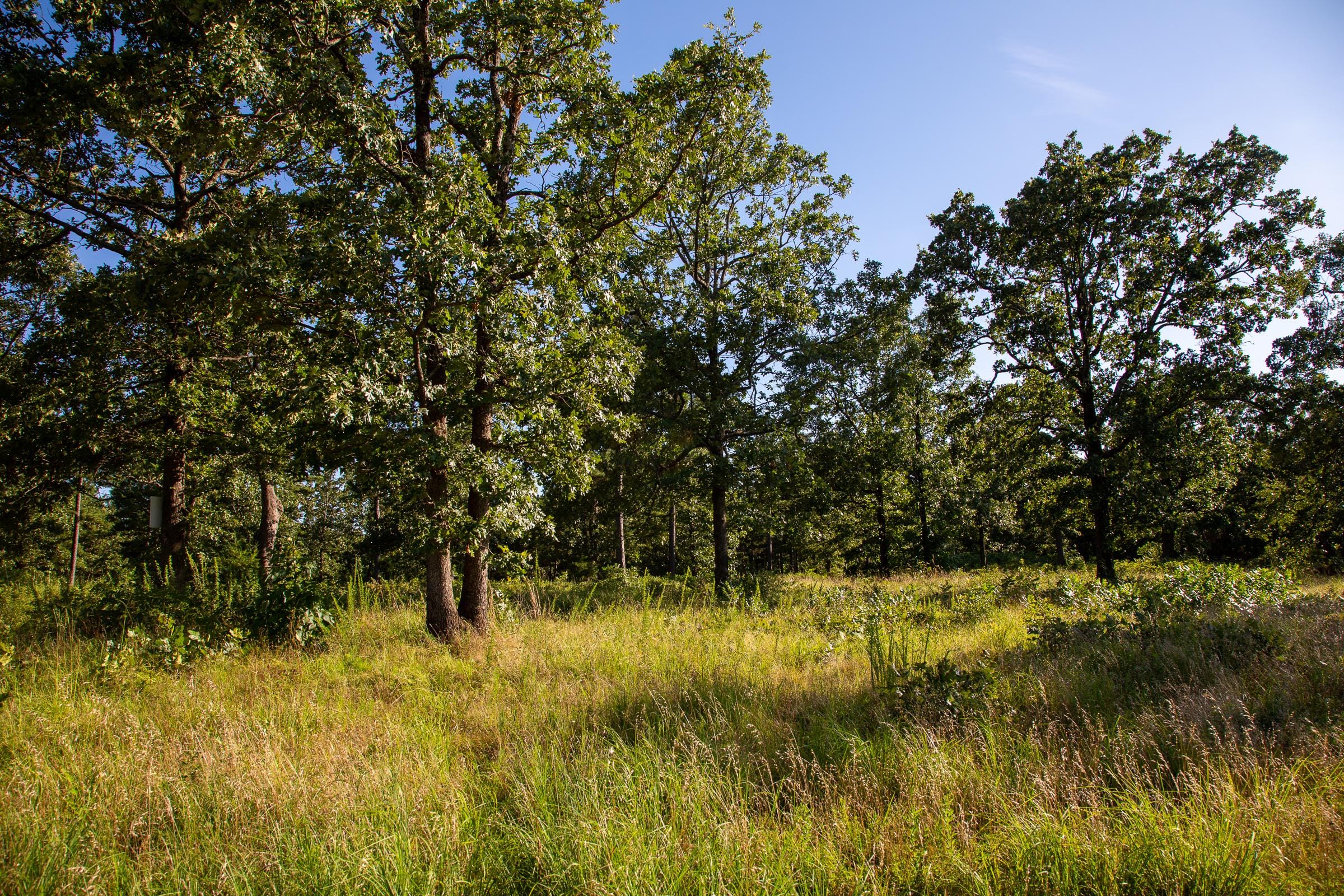 Tyler Stone Ranch Tract 14 photo 9