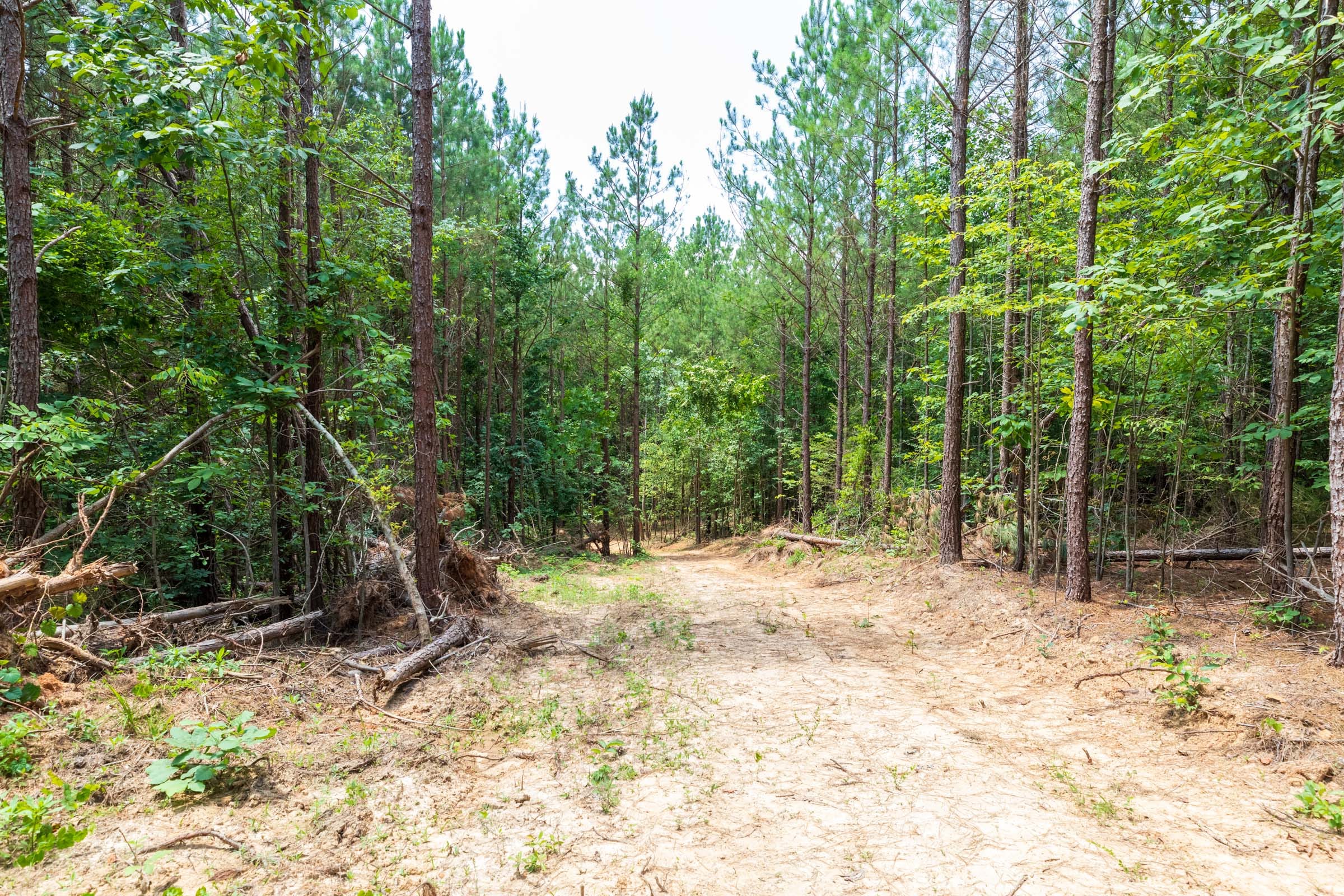 Whiskey Ridge Tract 6 photo 2