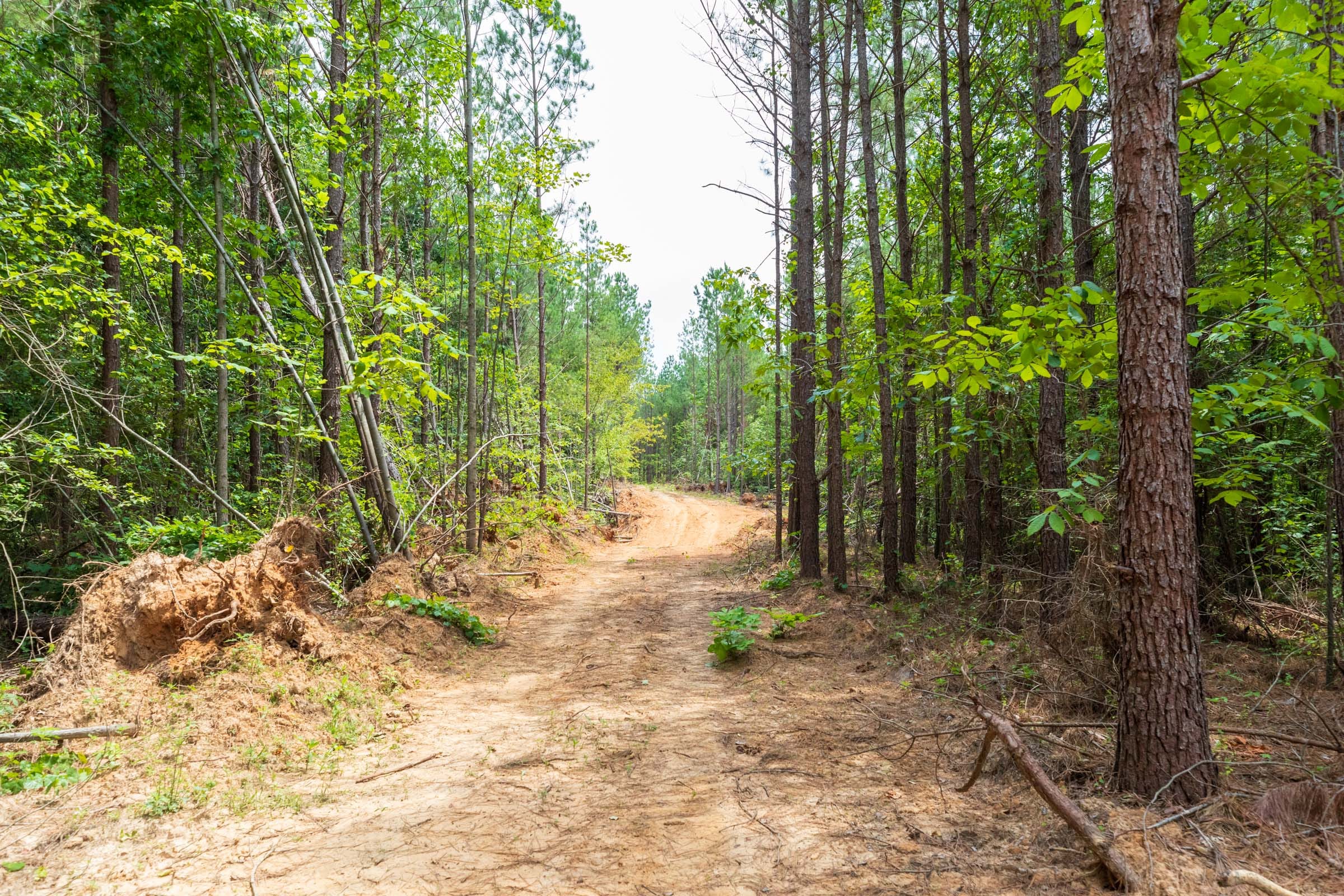 Whiskey Ridge Tract 6 photo 3
