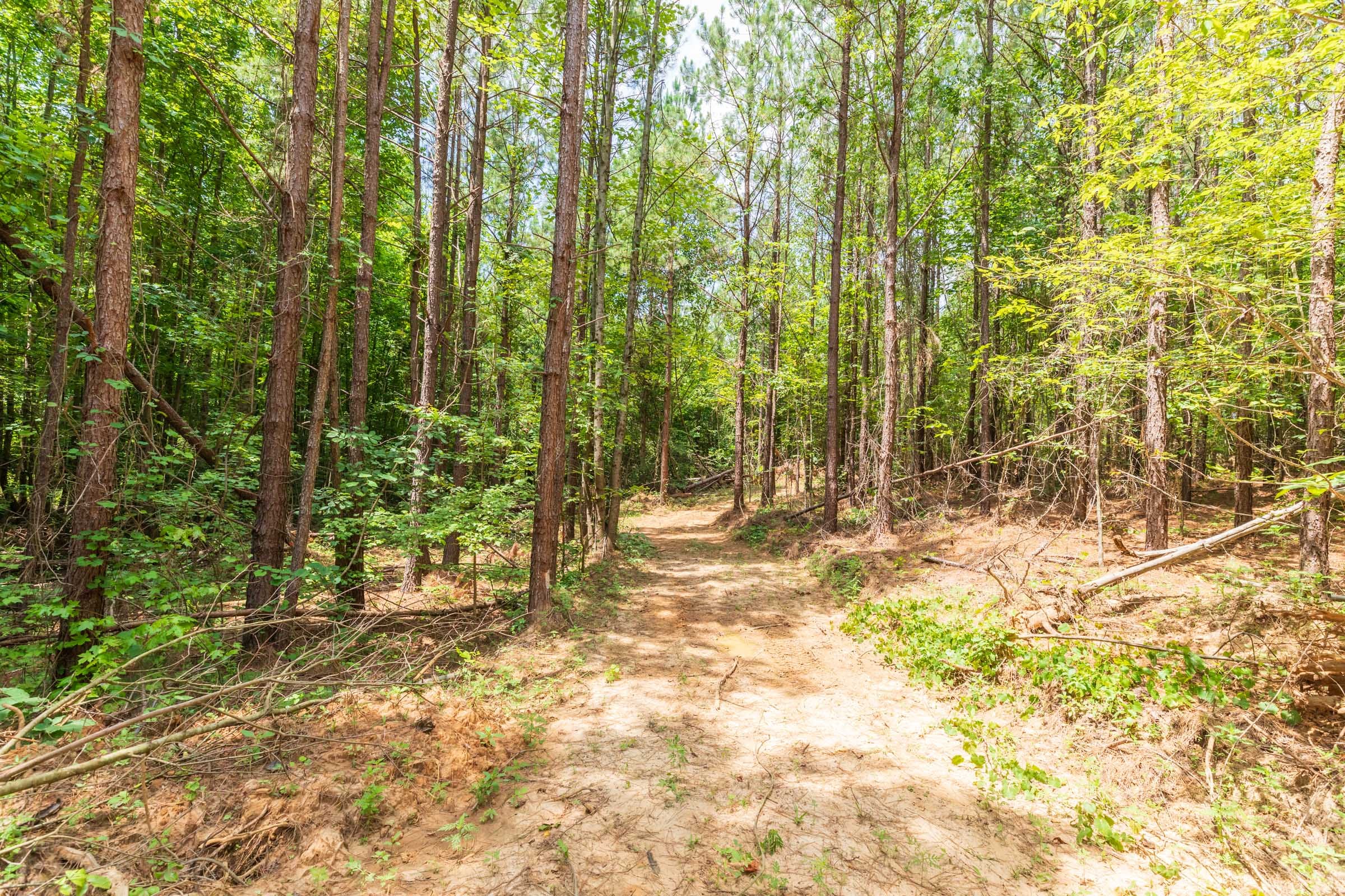 Whiskey Ridge Tract 6 photo 6