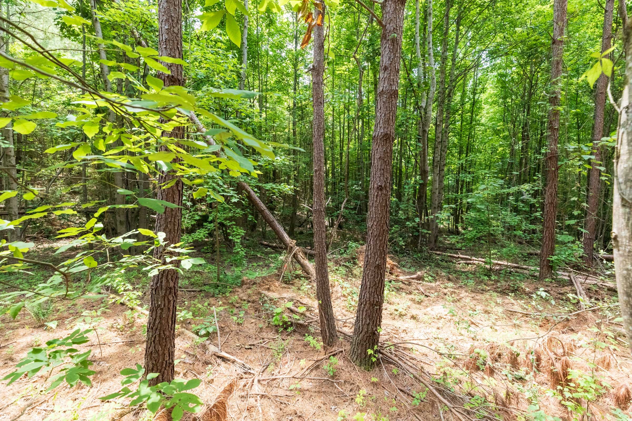 Whiskey Ridge Tract 6 photo 1