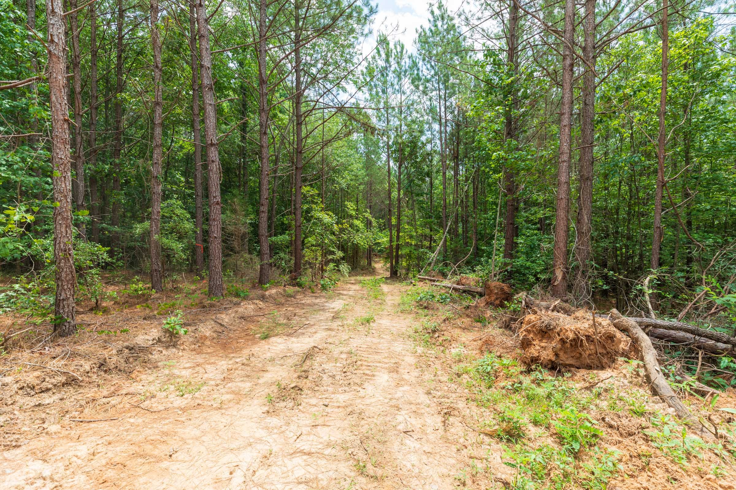 Whiskey Ridge Tract 6 photo 9