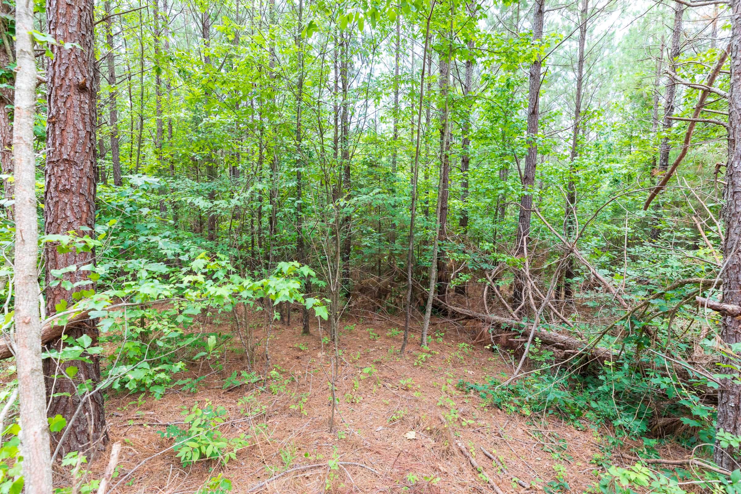 Whiskey Ridge Tract 6 photo 11