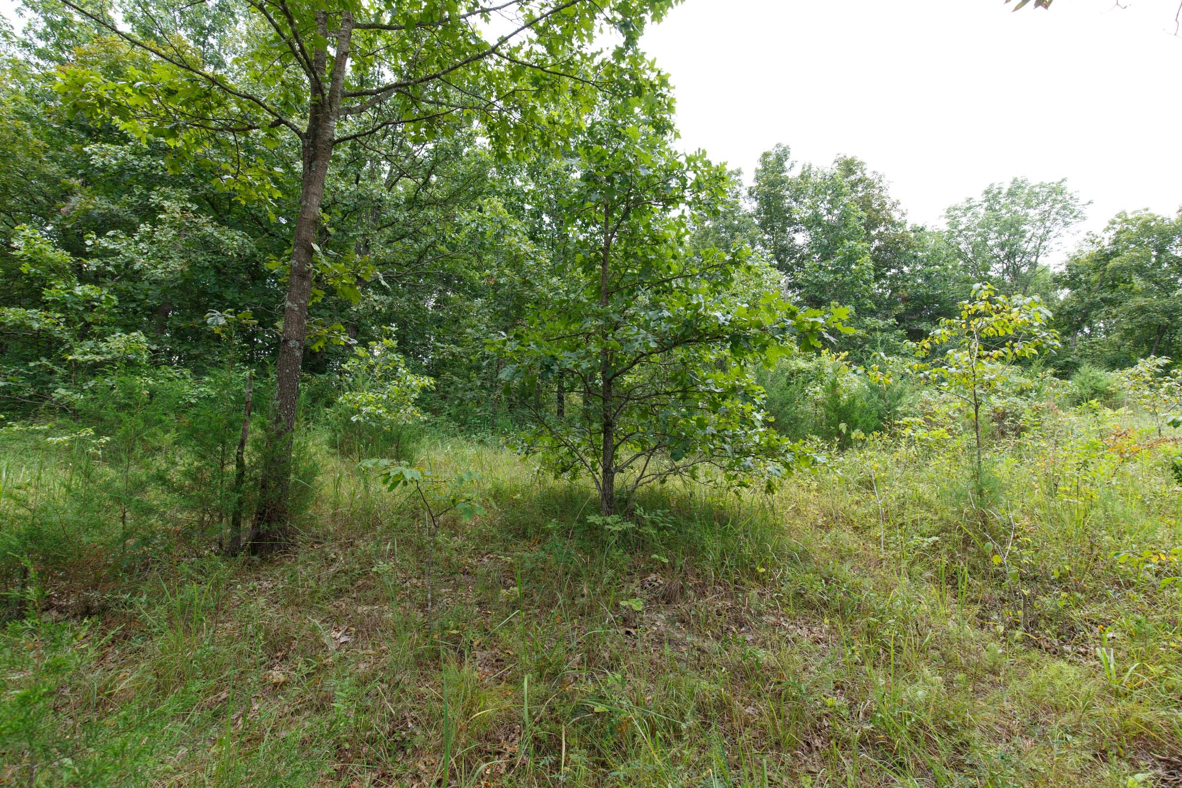 Spring Lake Plat 5 Tract 178 photo 3