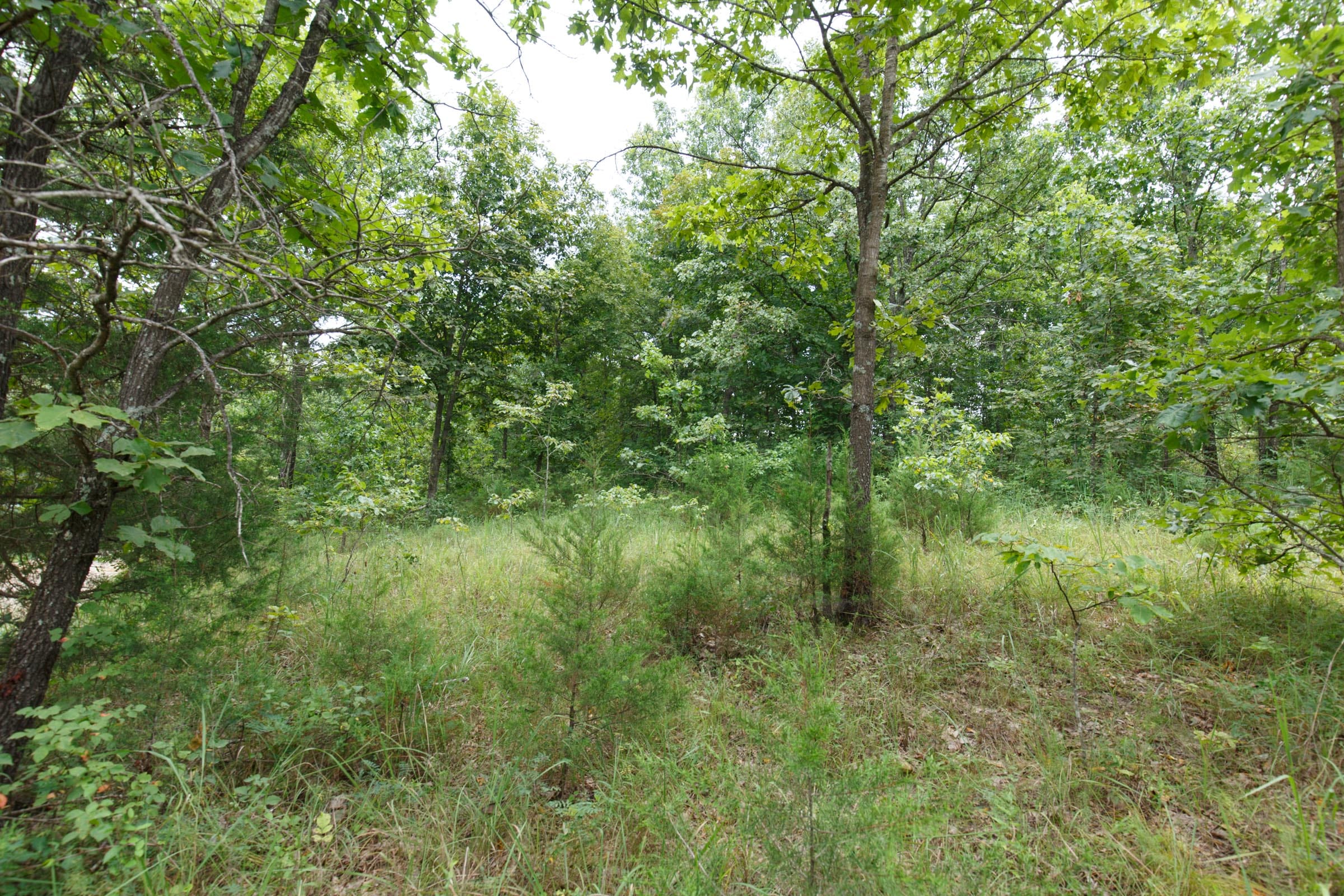 Spring Lake Plat 5 Tract 178 photo 2