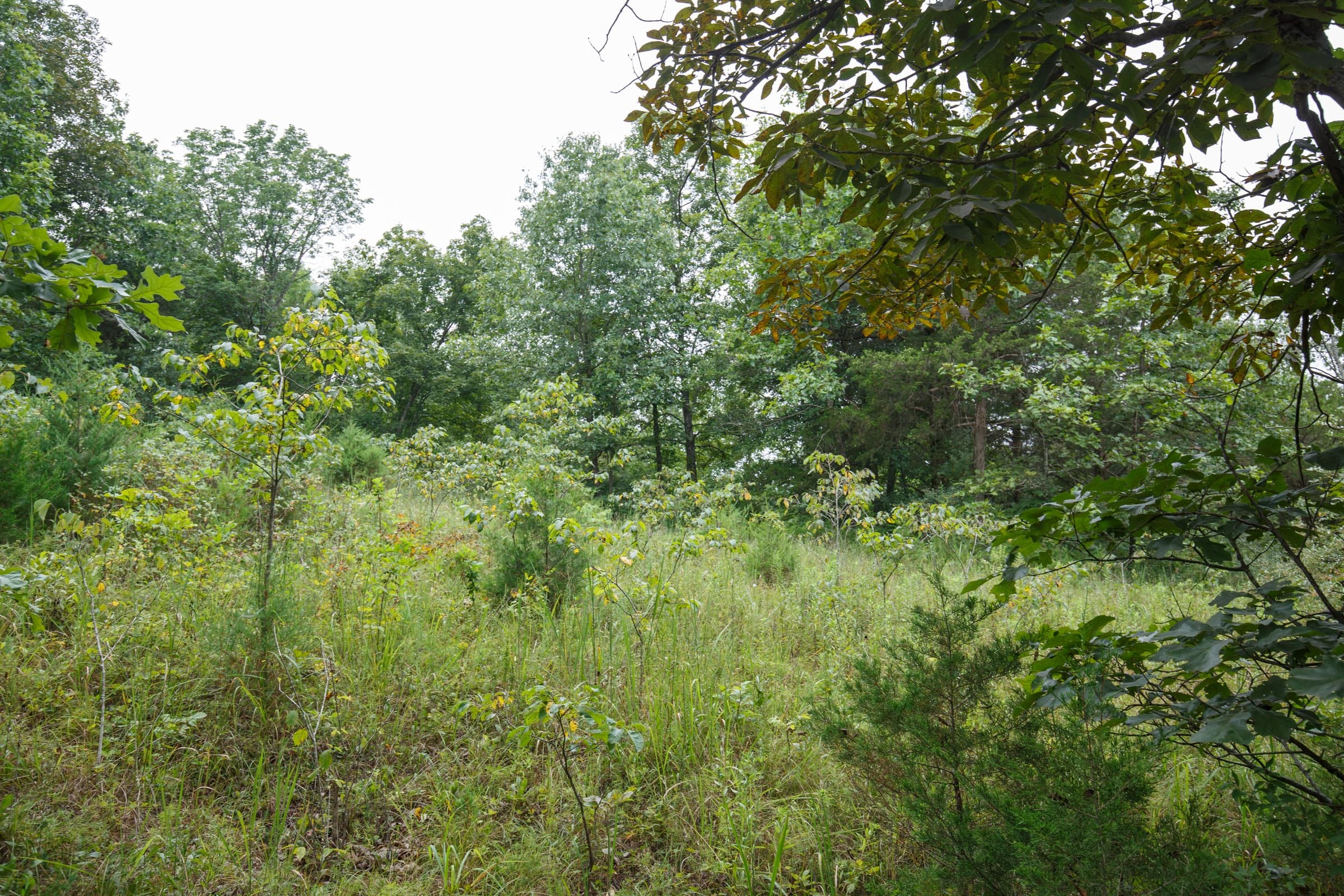 Spring Lake Plat 5 Tract 178 photo 5