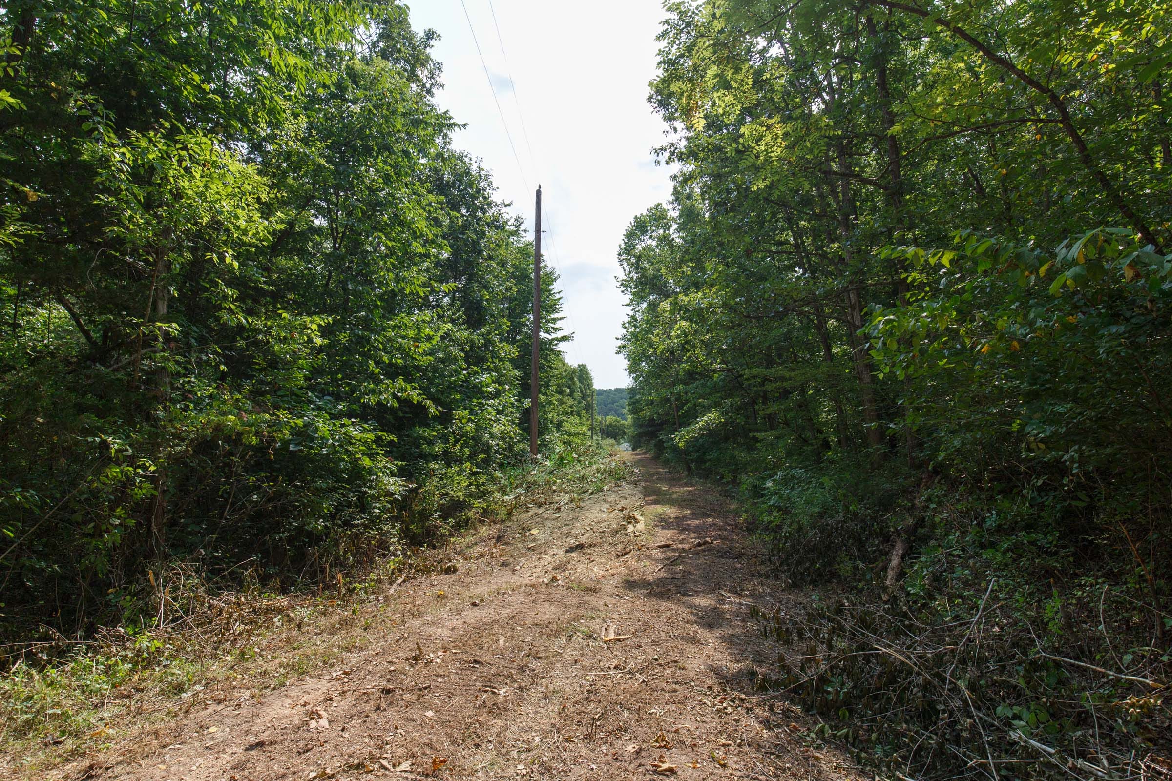 Spring Lake Plat 2 Tract 55 photo 2