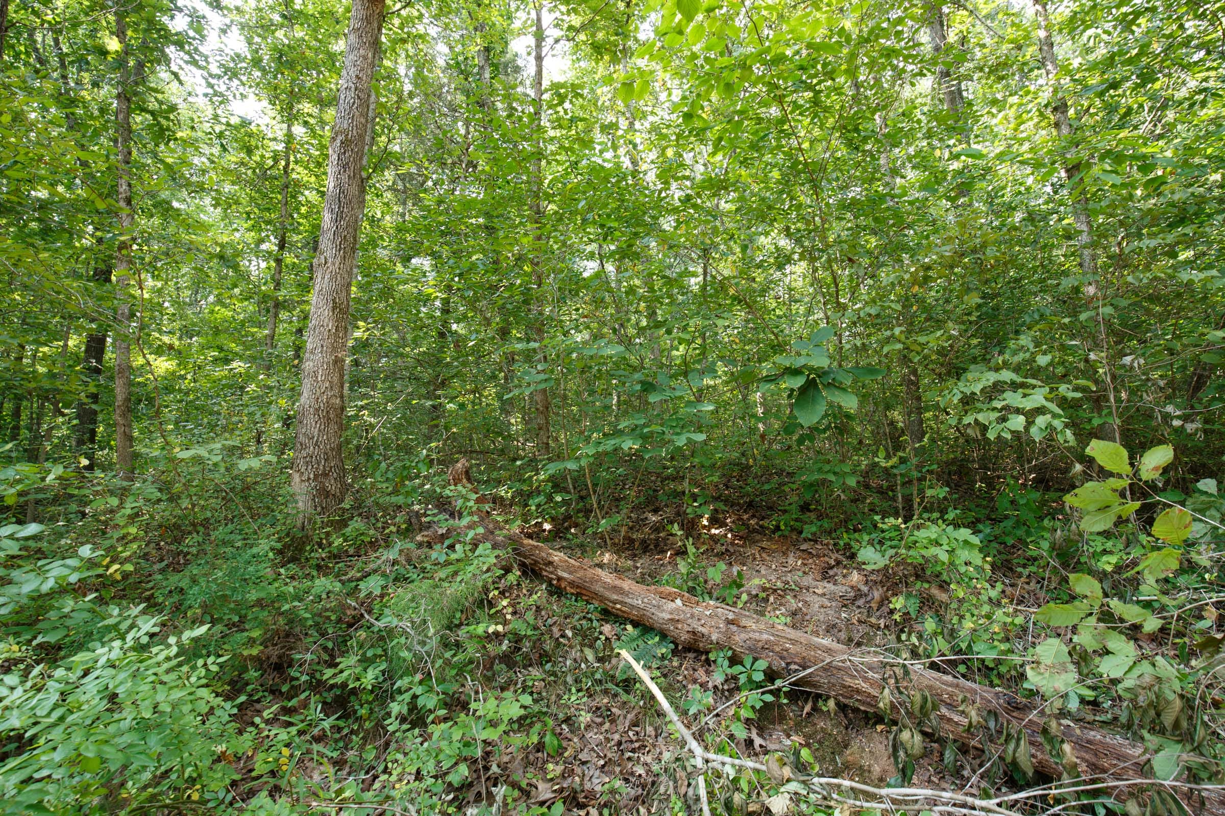 Spring Lake Plat 2 Tract 55 photo 7